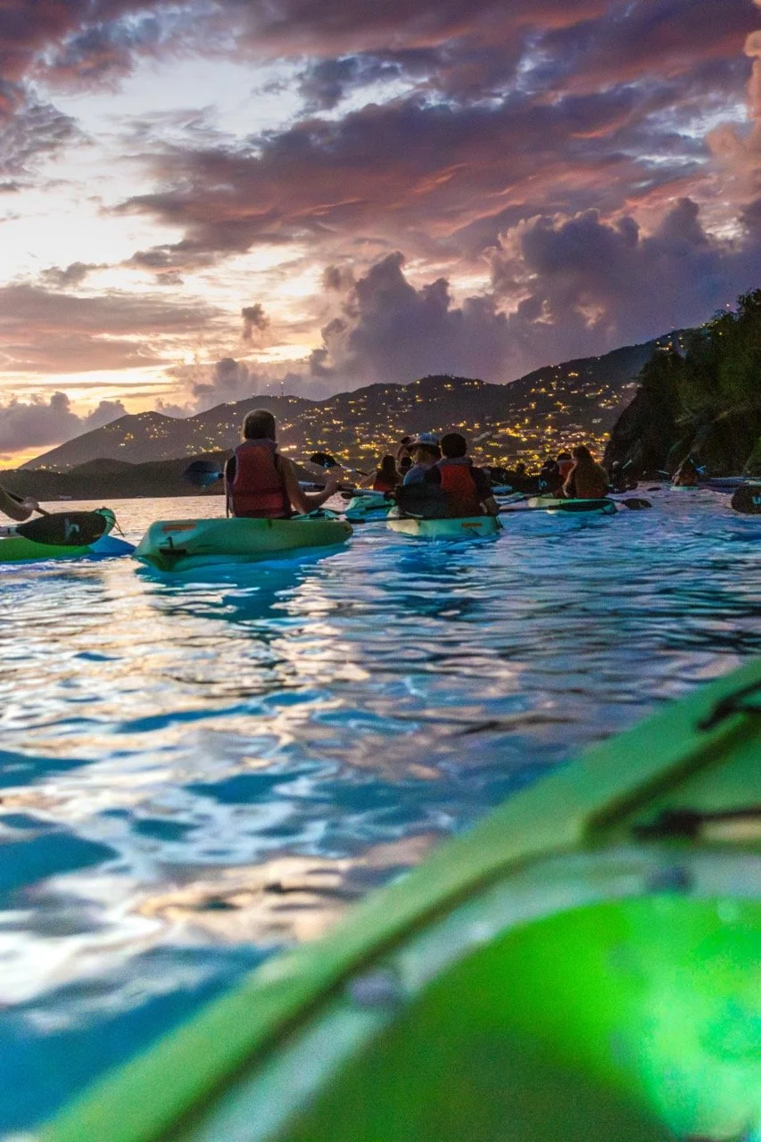 _MG_5222-Enhanced-NR Large.jpeg