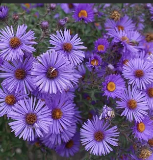 Screenshot 2026-04-22 at 5.51.56 PM.png