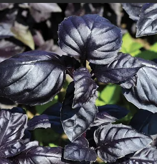 Screenshot 2026-04-22 at 6.35.49 PM.png