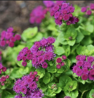 Screenshot 2026-04-22 at 6.58.35 PM.png