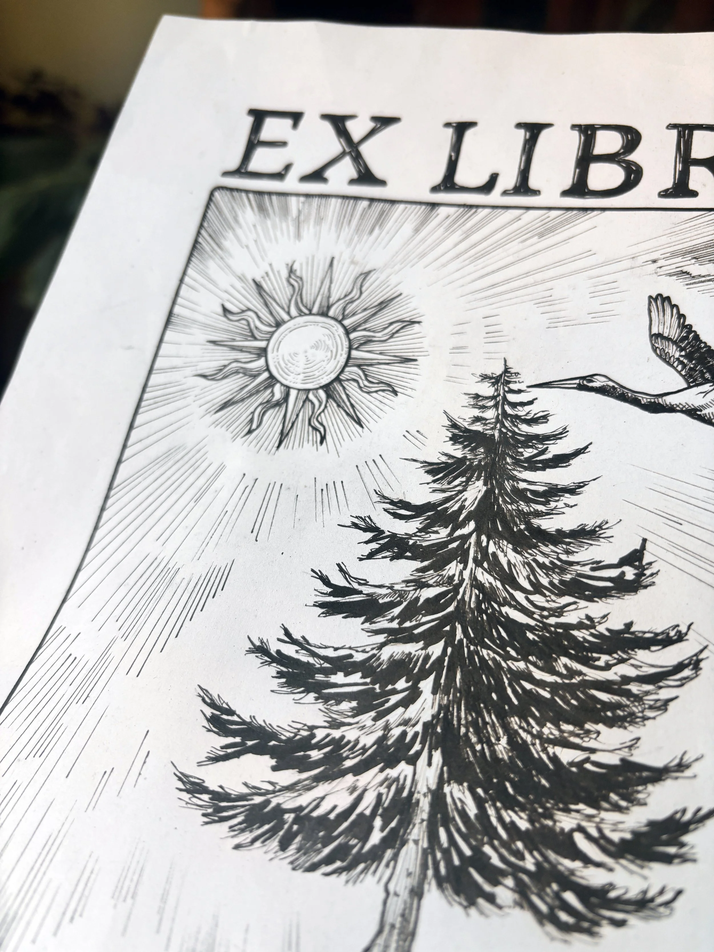 Ex libris DKW
