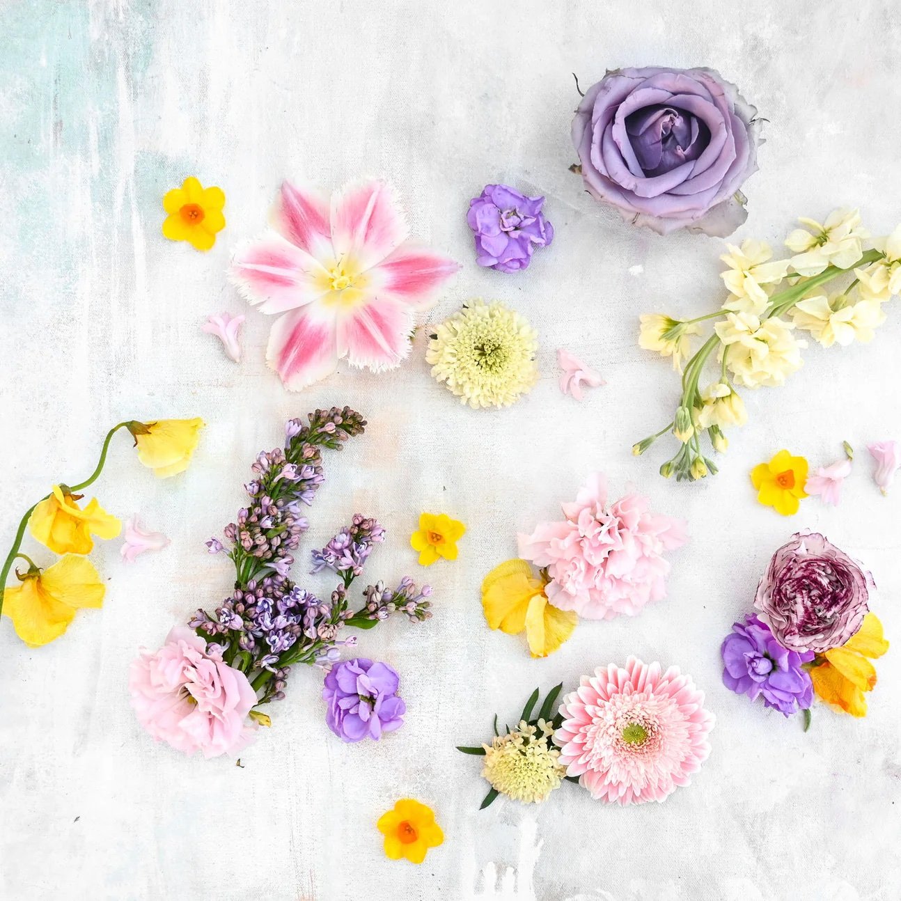 Garden Pastels.jpeg