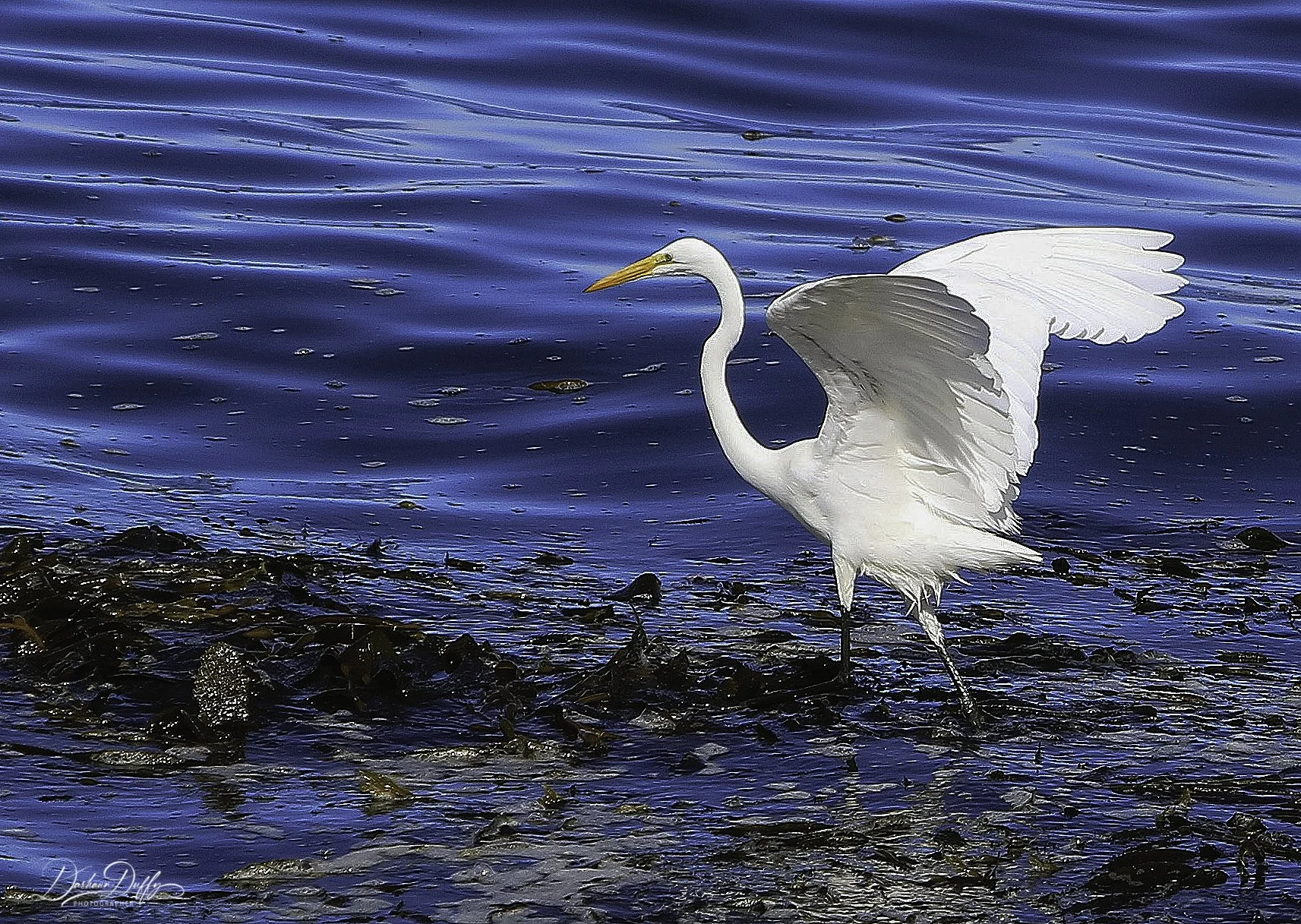 HEROR ON WATER