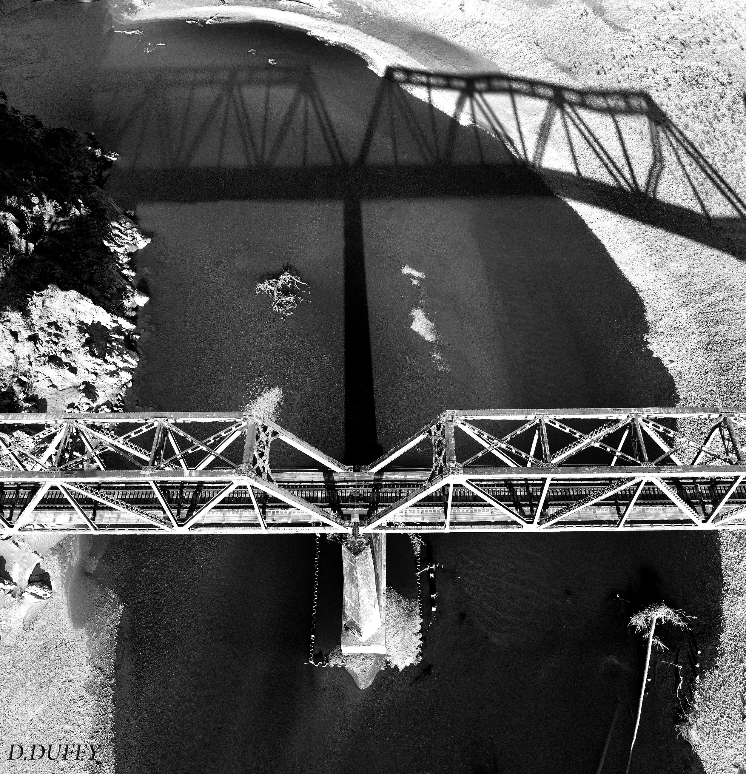 REDWOOD BRIDGE B&W