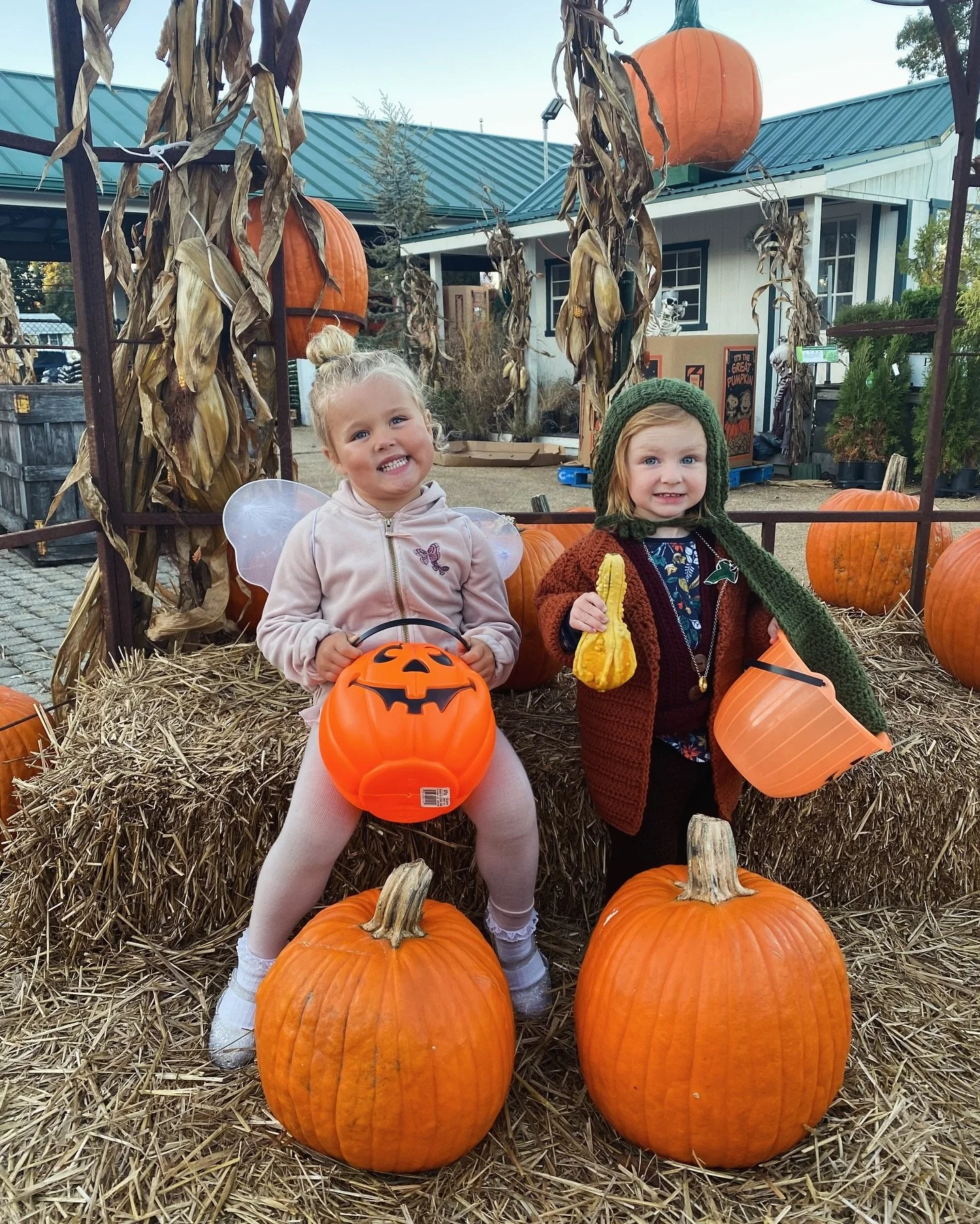 🧡 FALL IS HERE 🎃
- Fun with friends, costume party, pizza, trick orctreat rehearsal, tractors, beer and playground. All our favorite things.
#sailingvinasa @sailingisabela #fallvibes
