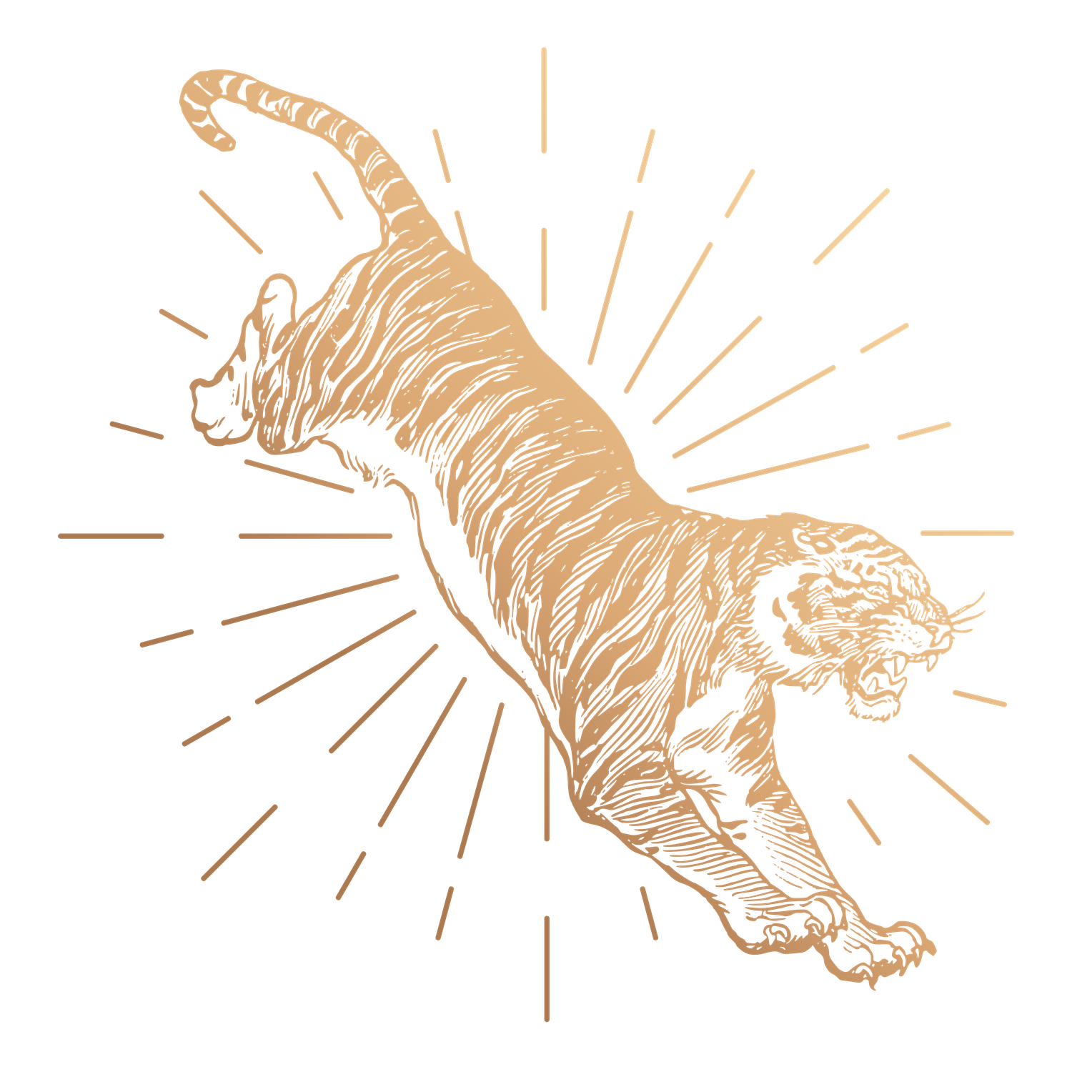 Illustration d'un tigre stylisé avec des rayons autour, noir et doré.