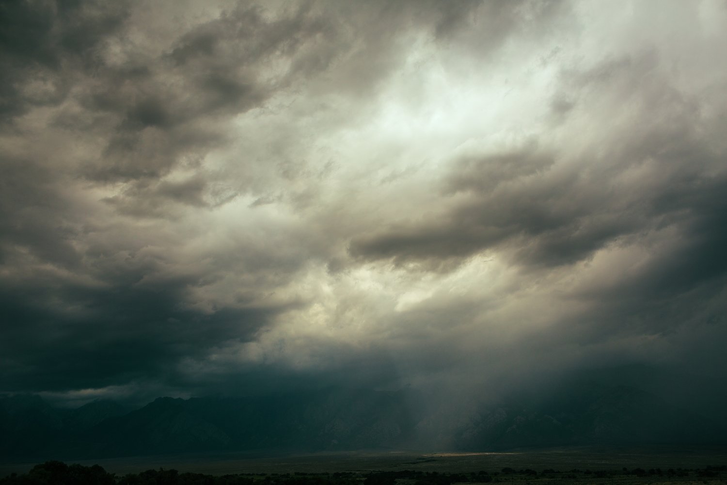 image-asset (1).jpeg