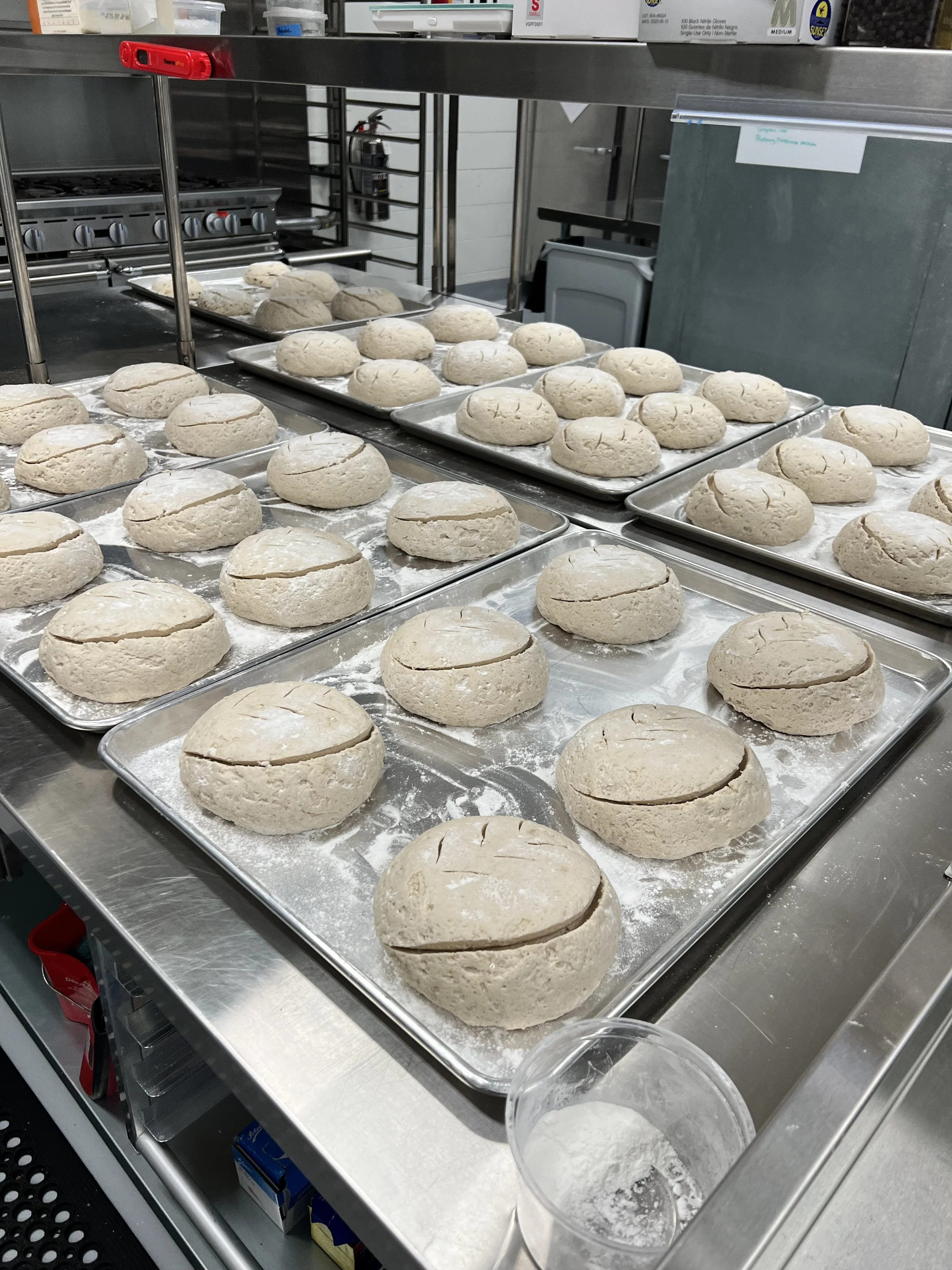 boules scored and ready to bake