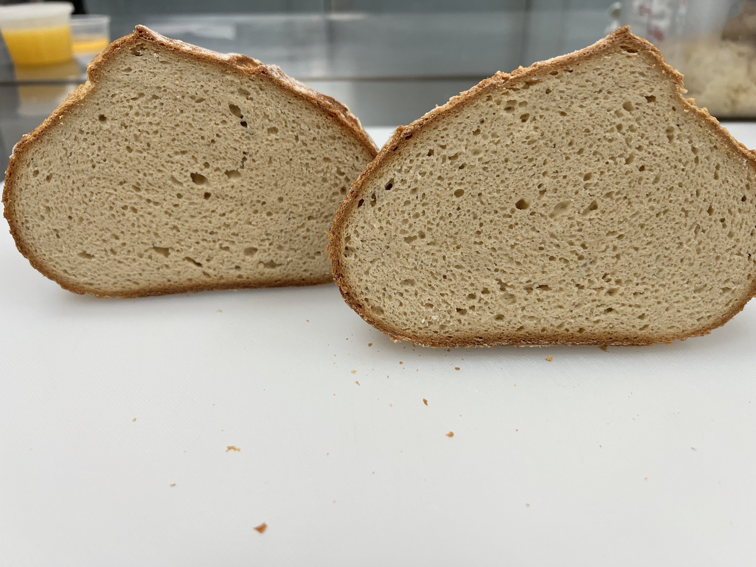 interior shot of our gluten free sourdough