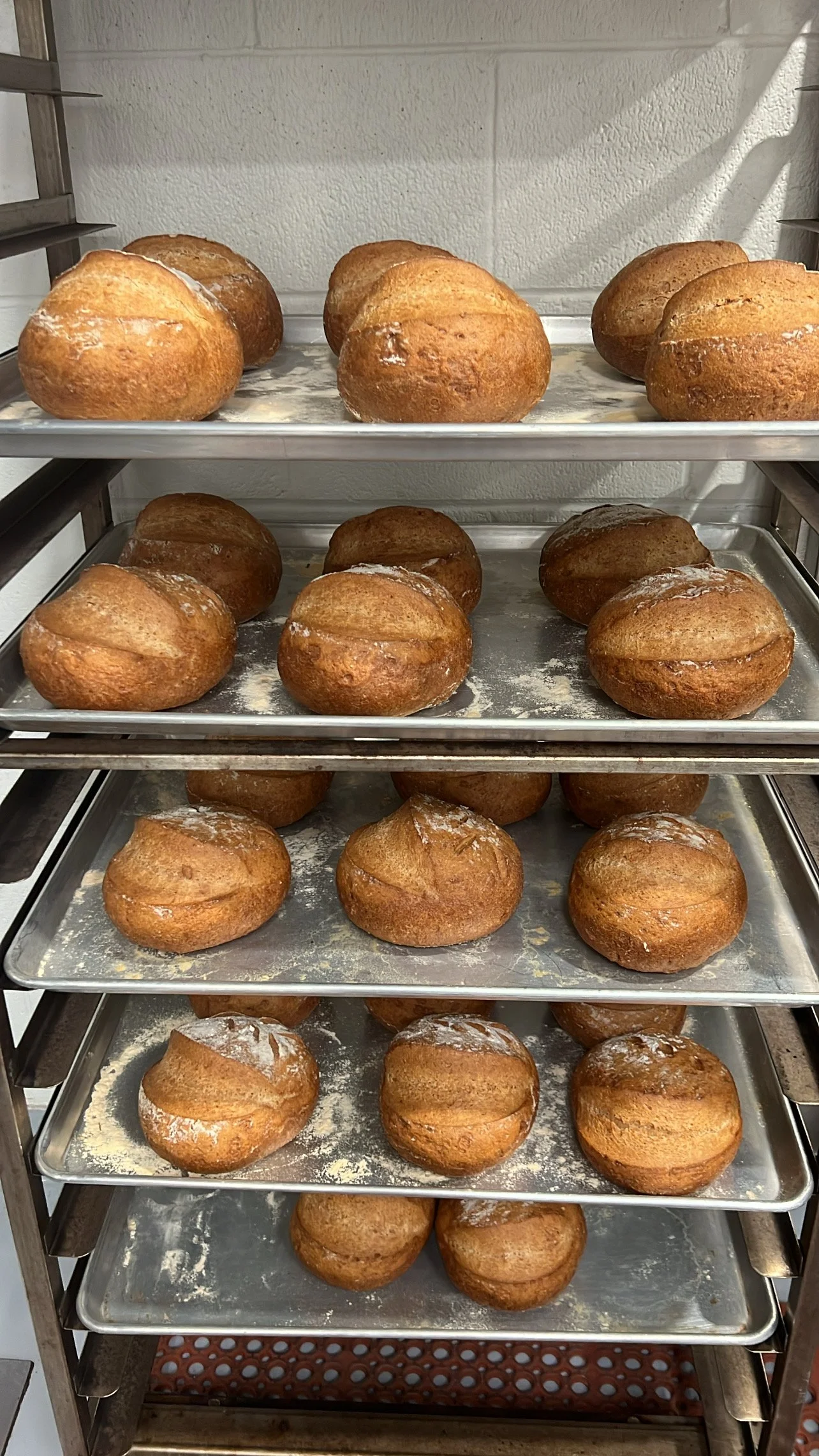 freshly baked gluten free sourdough boules