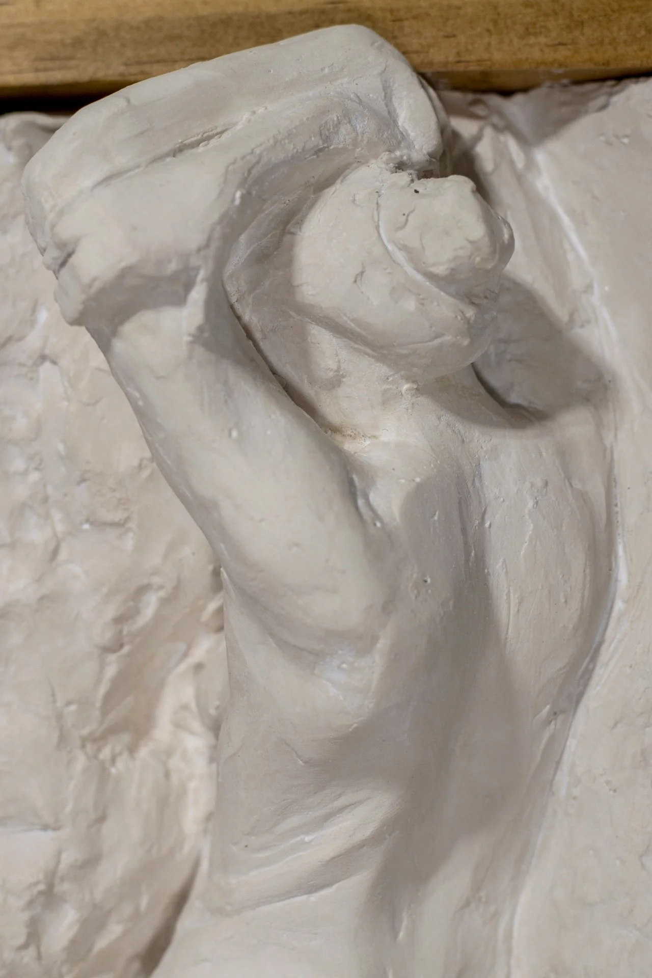Venus-01-detail3.jpg
