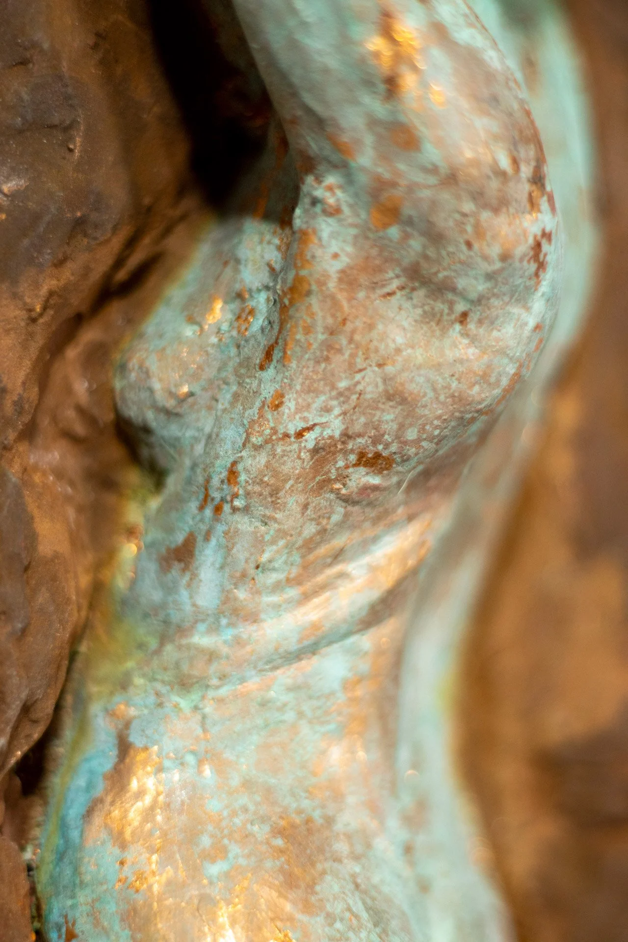 Venus-04-detail3.jpg