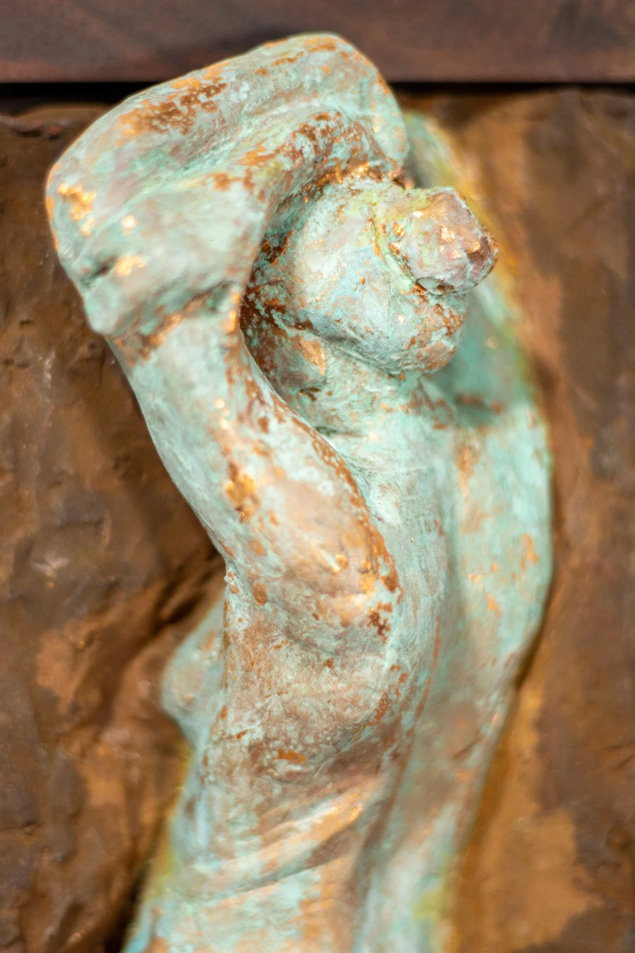 Venus-04-detail1.jpg