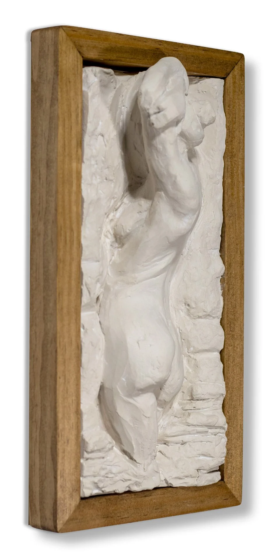 Venus-01-left.jpg