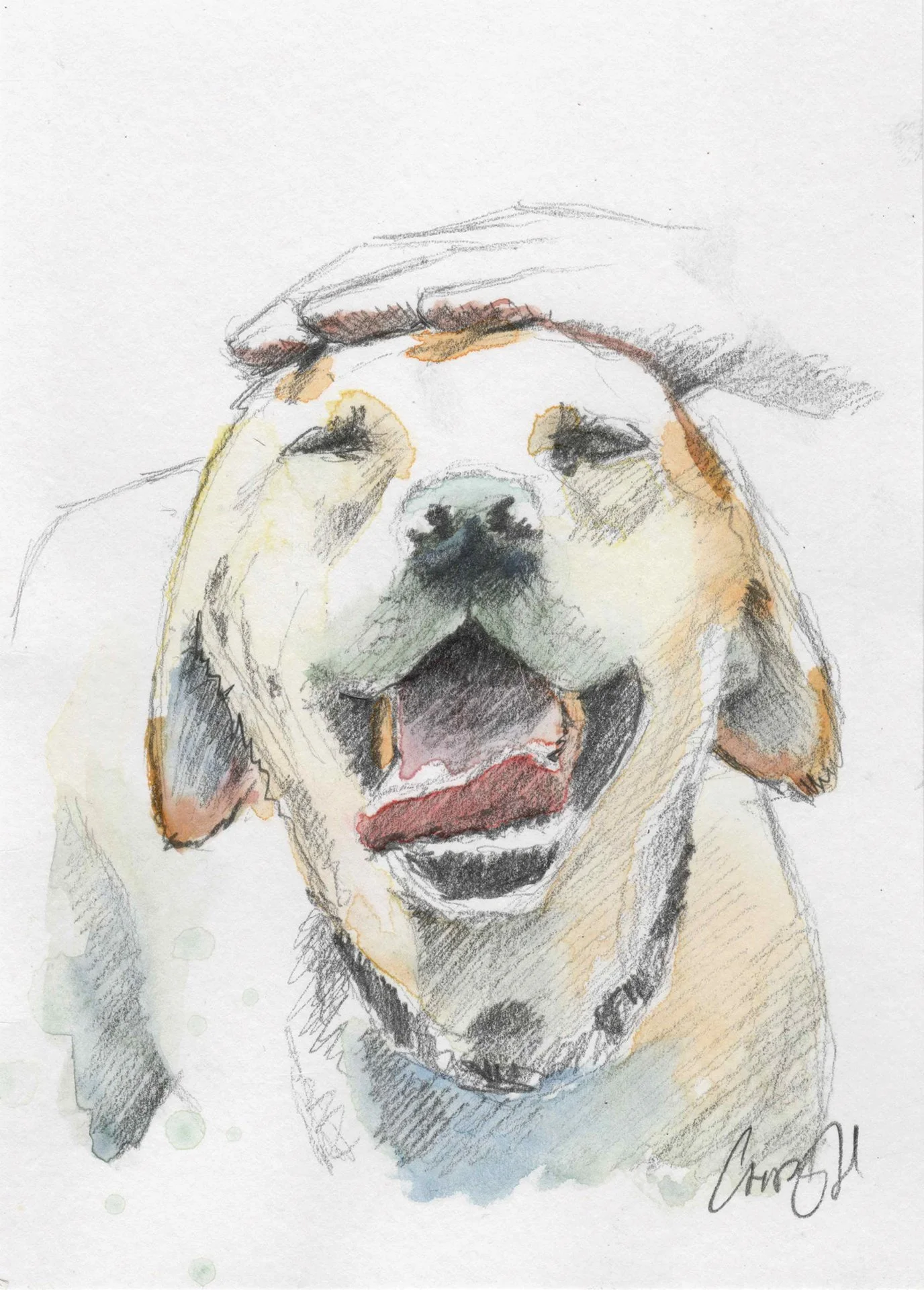 Colorful sketch of a dog with open mouth and eyes closed, being petted on the head.