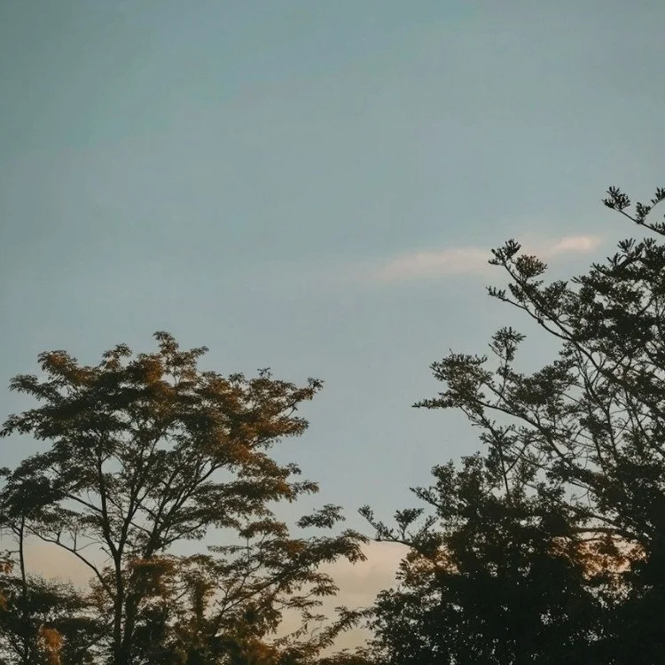 s6.jpg