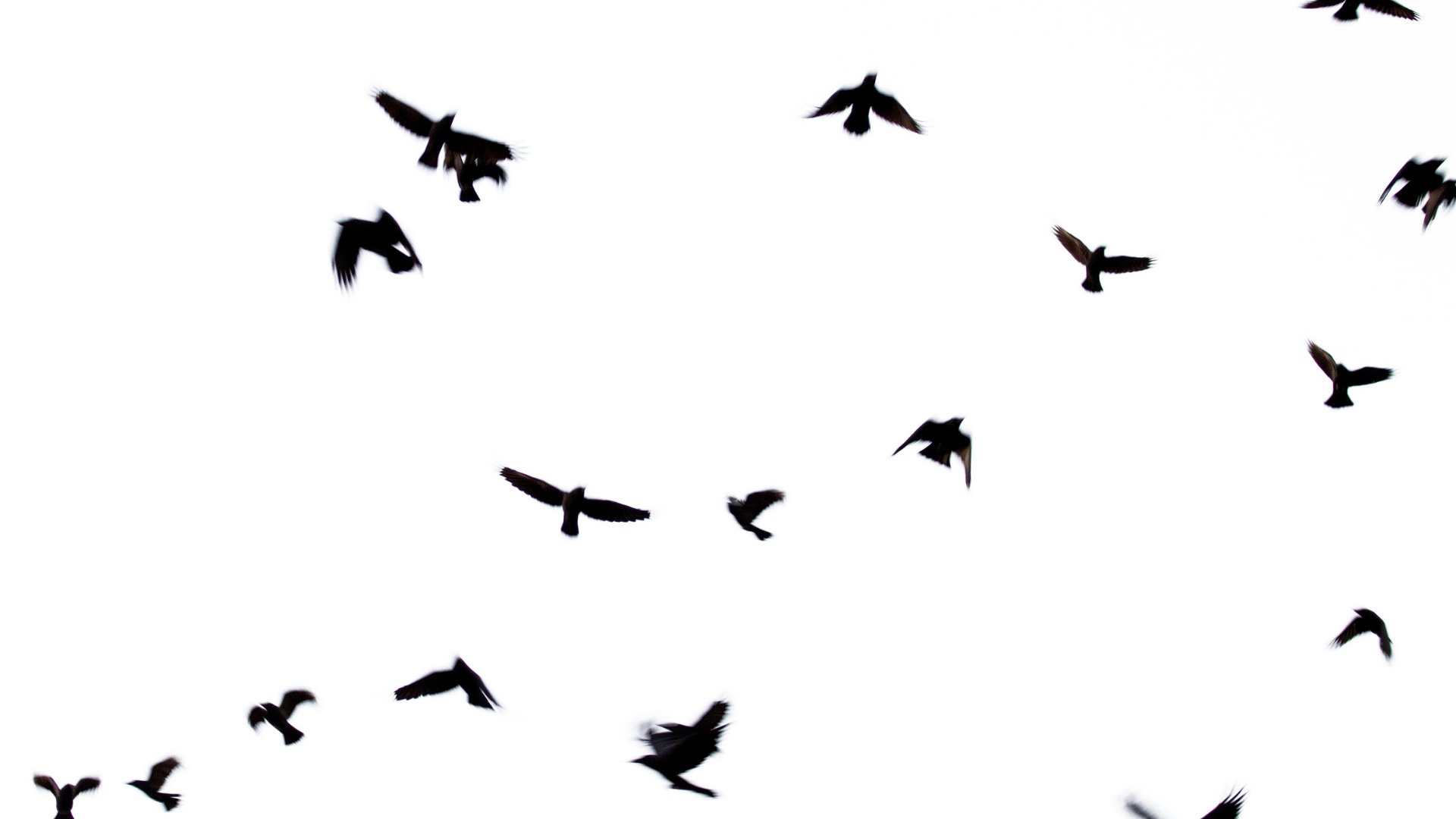 Indigenous-Crown Diplomacy Success: Negotiating with the Feds and Provinces In &amp; Out of Normal Channels - The Multi-Pronged Approach