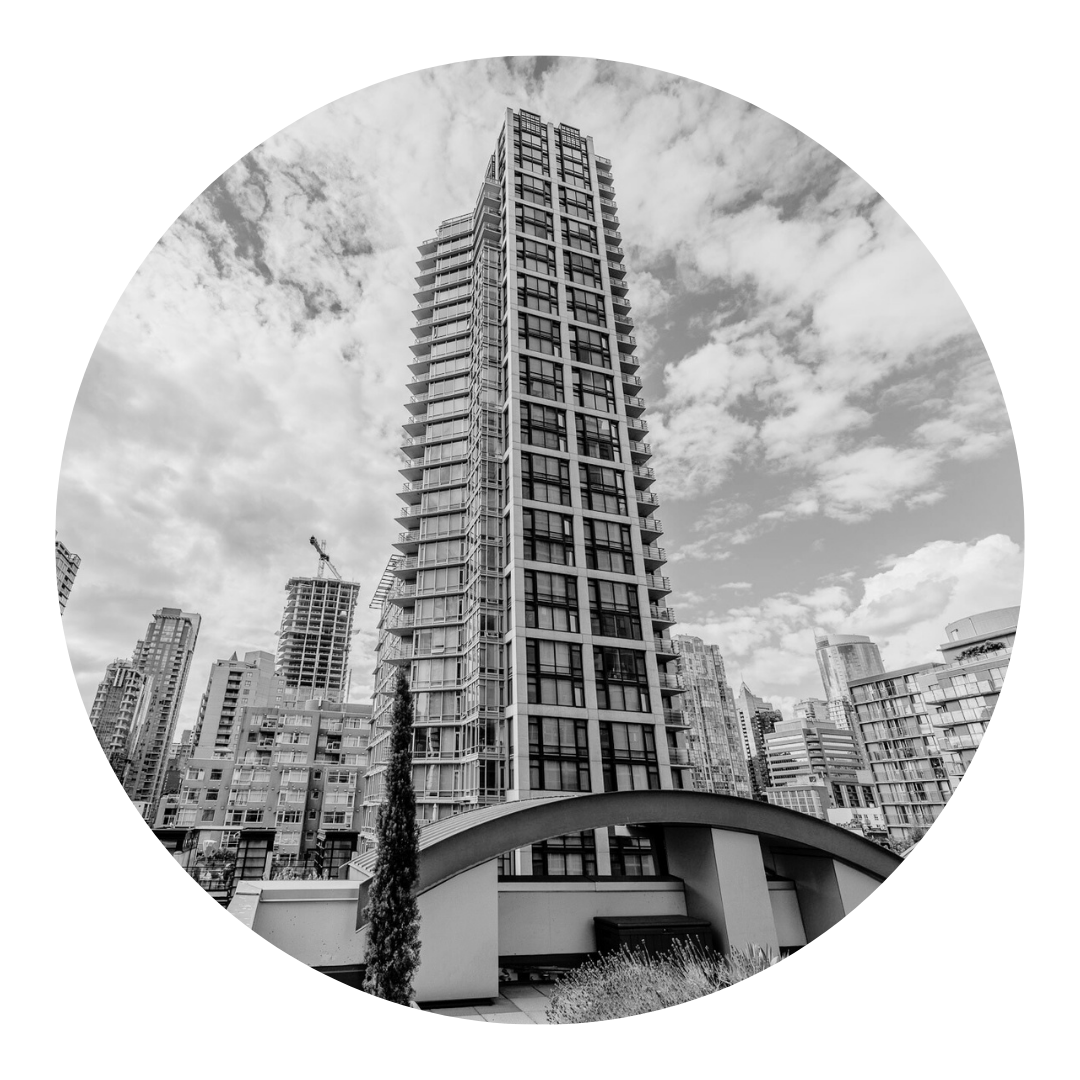Untitled design (88).png