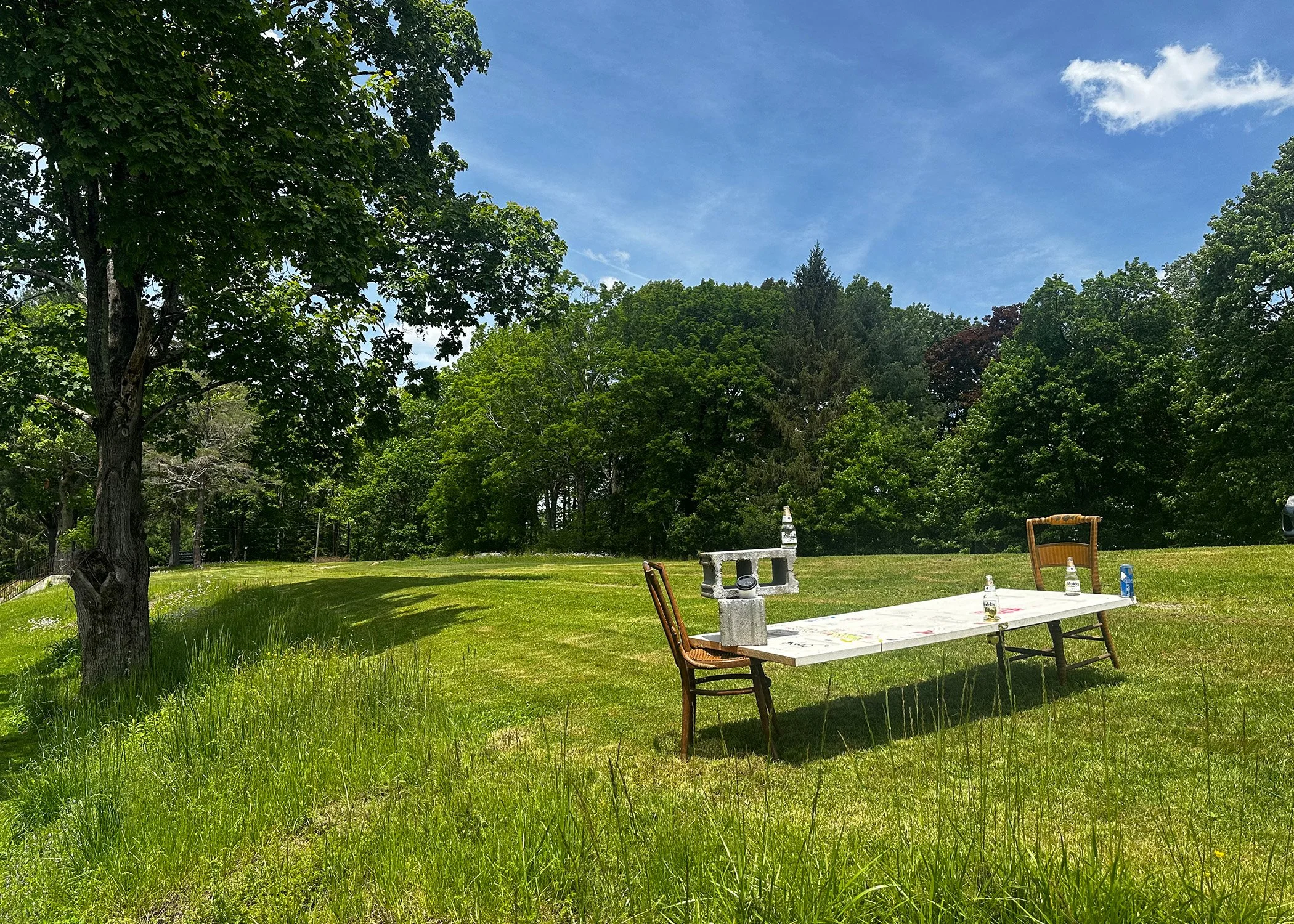 Lance Minto-Strouse_Untitled #37:55 (Dining With…).jpg