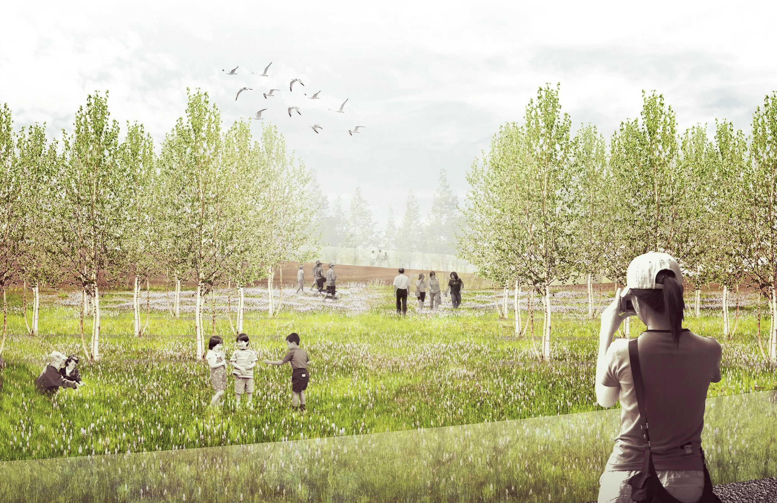 Burial Meadow