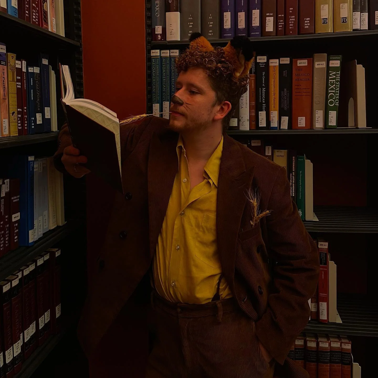 &ldquo;I dare not do that, said Mr. Fox, because this place I am hoping to get is so marvelous that if I described it to you now you would go crazy with excitement&rdquo;

~Roald Dahl

📸 @syrocheva