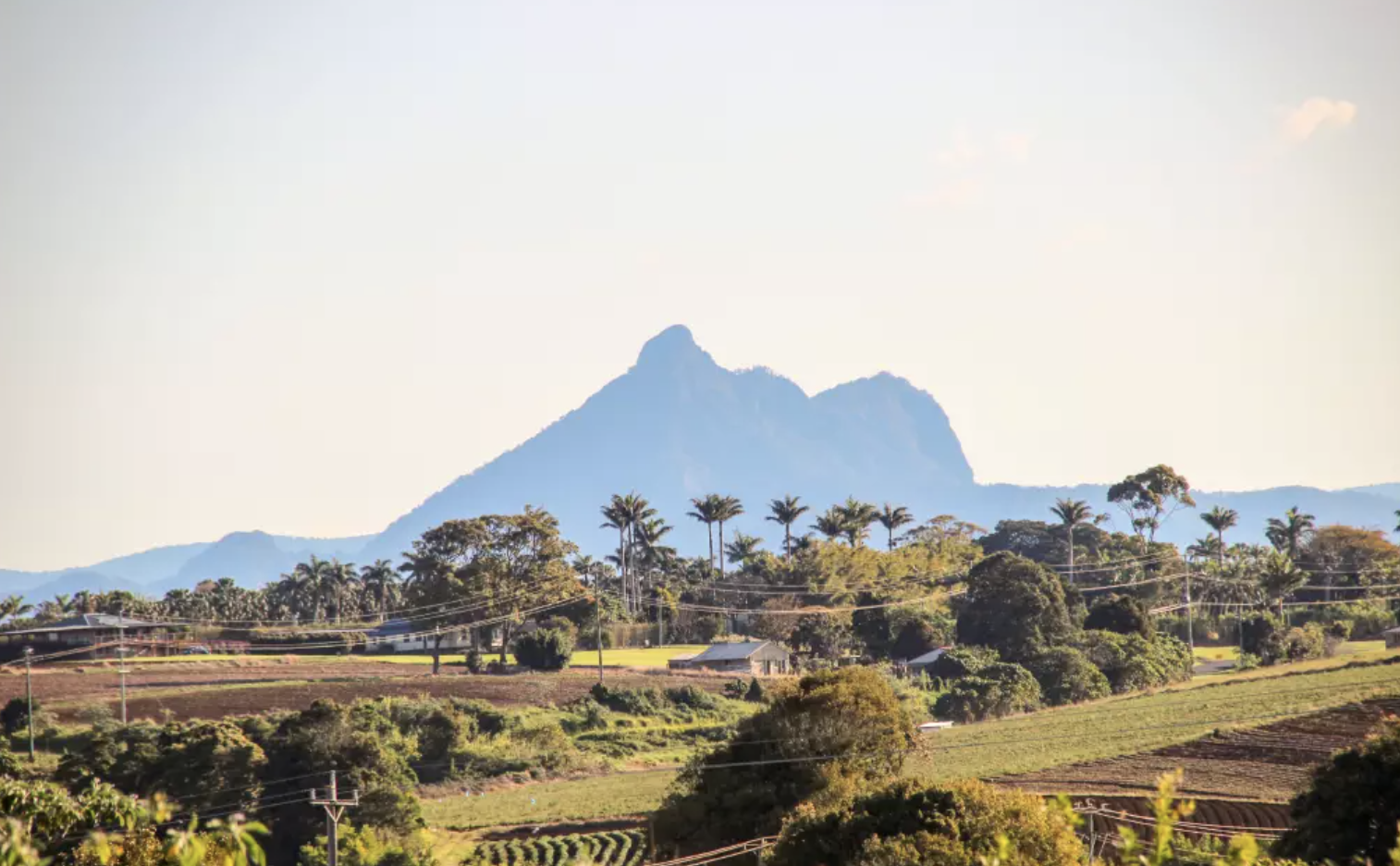 Hospital Opportunity – RMO / JMO (Paediatrics)