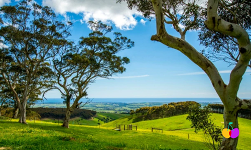 VR GP | Part-Time GP Role | Mixed Billing | Shared Patient Database | High Demand