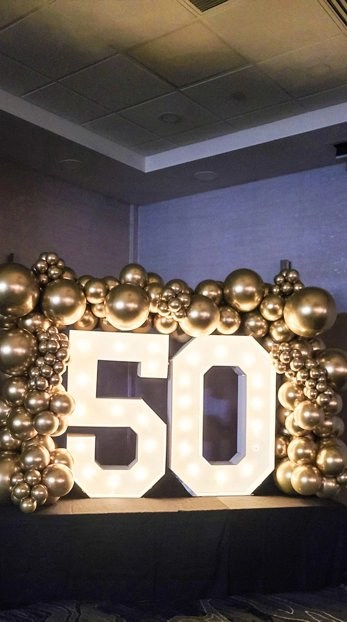 447604406_485927297294681_648838423422257834_n.jpg