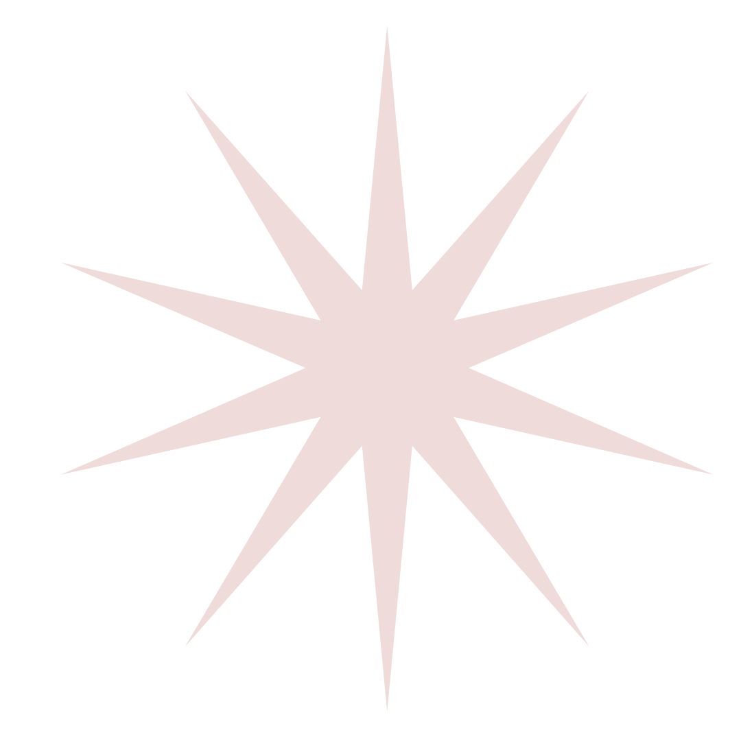 Large white starburst shape with multiple sharp points on a black background.