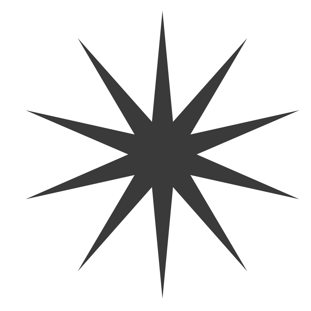 A black starburst shape with 12 sharp points against a dark background.