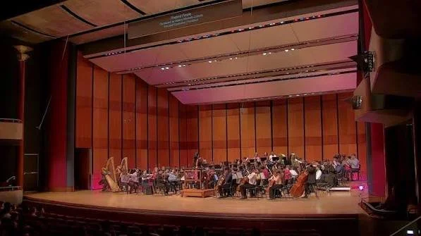 HOUSTON COUGAR CAMERATA SYMPHONY ORCHESTRA.jpg