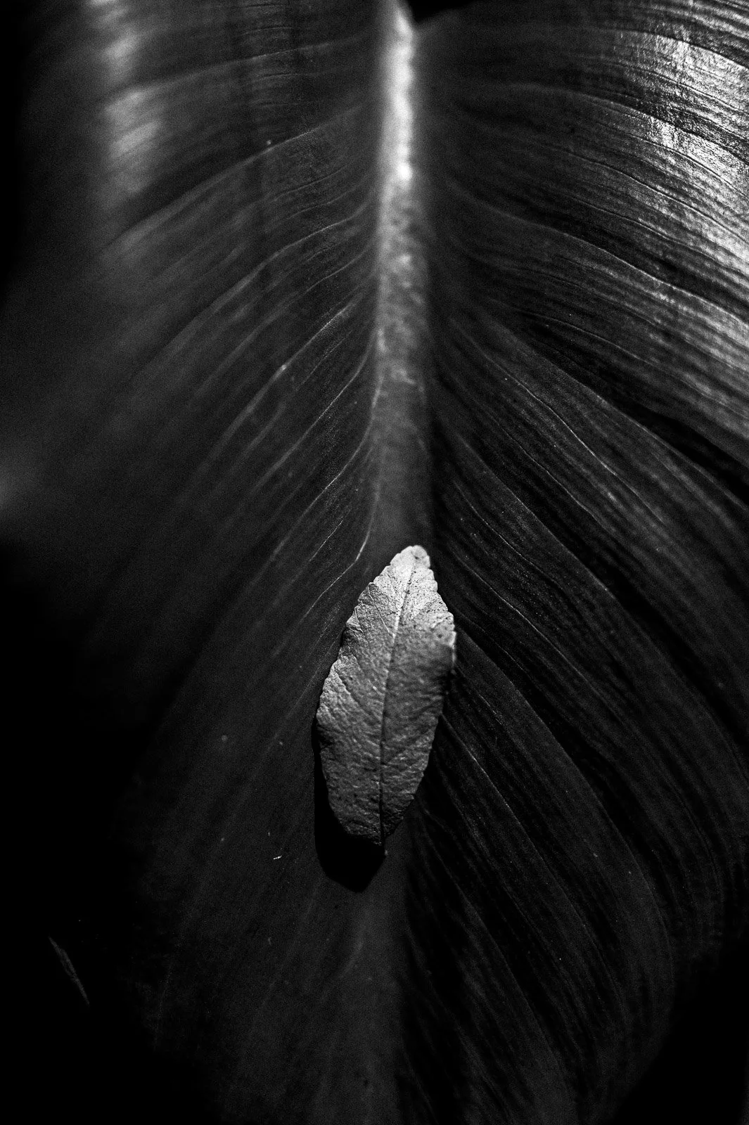 _DSC0794.jpg