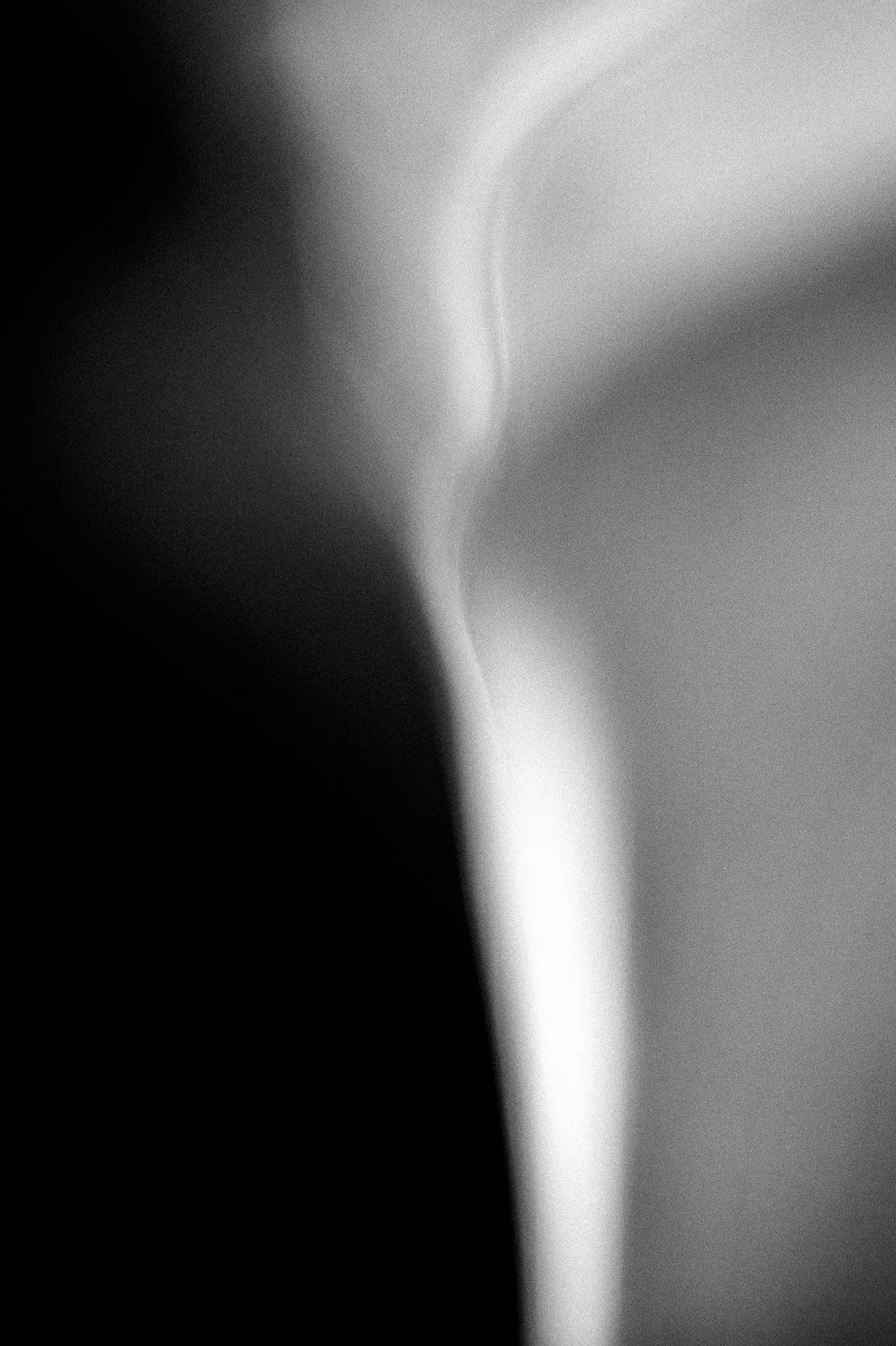 _DSC1466.jpg