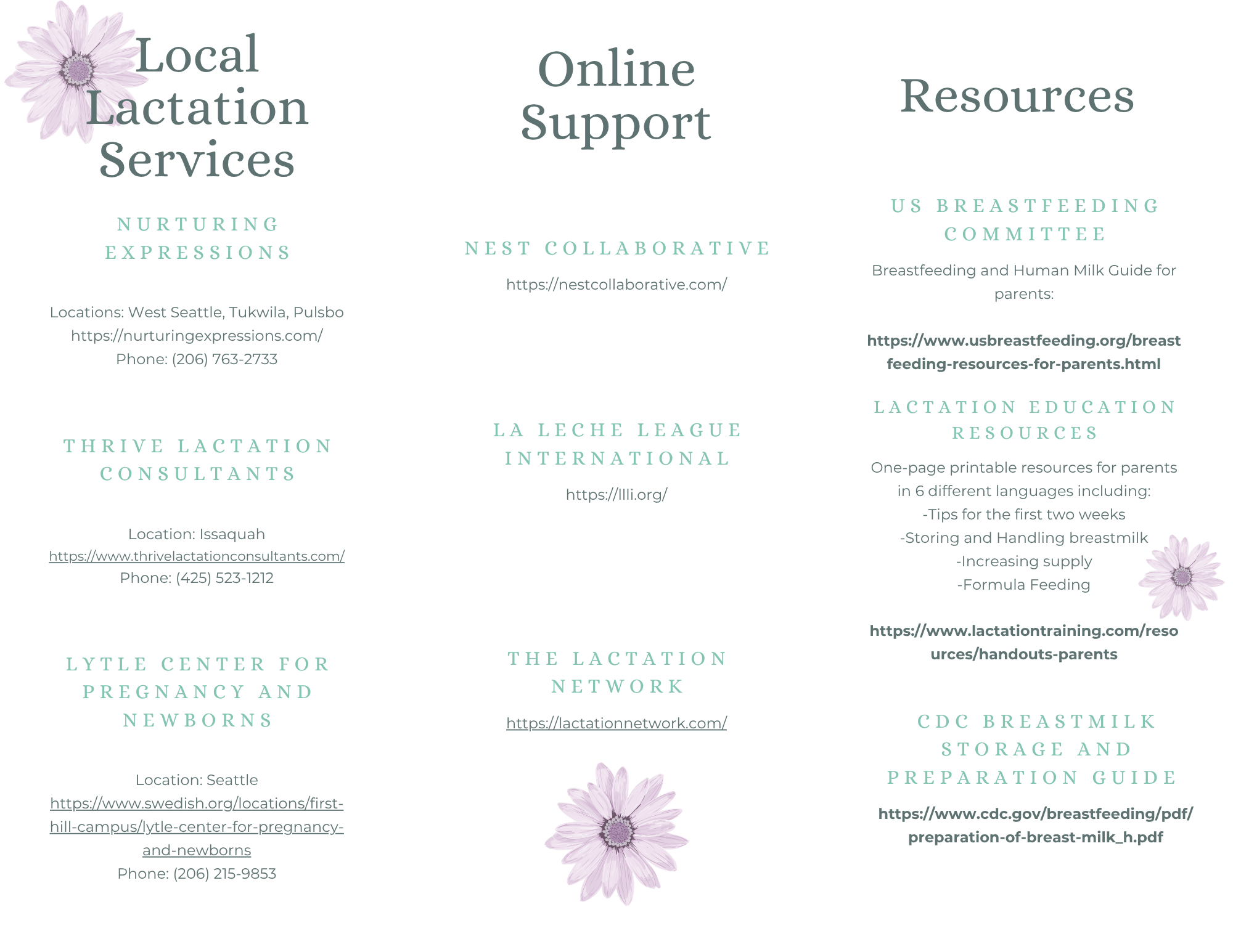 Tri-fold resource handout for Postpartum Families.