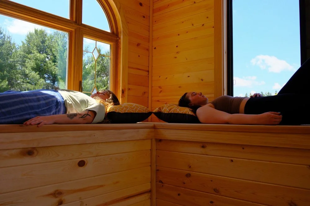 Sleeping on Beehives -Anxiety Study