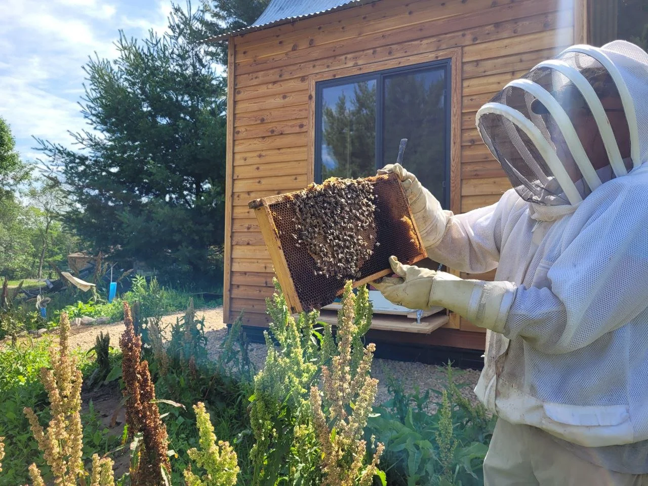 How Beekeeping Enhances Wellbeing