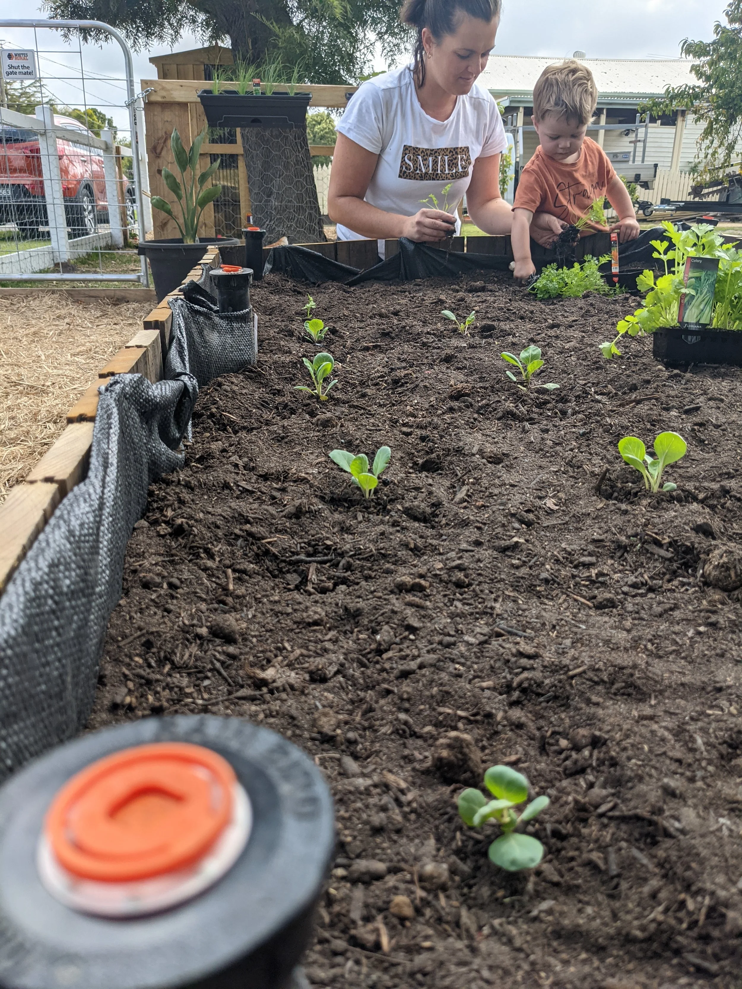 What type of irrigation system should you install on Phillip Island?