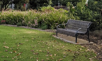 Irrigation Considerations for Lifestyle Properties on the Bass Coast and South Gippsland