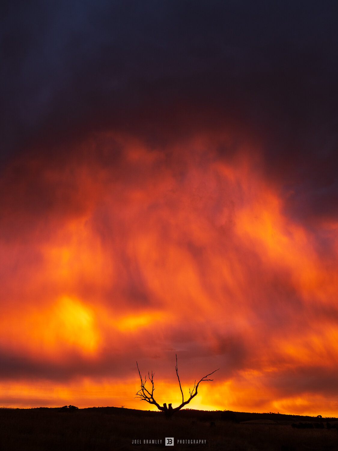 Fire in the Sky (Copy)