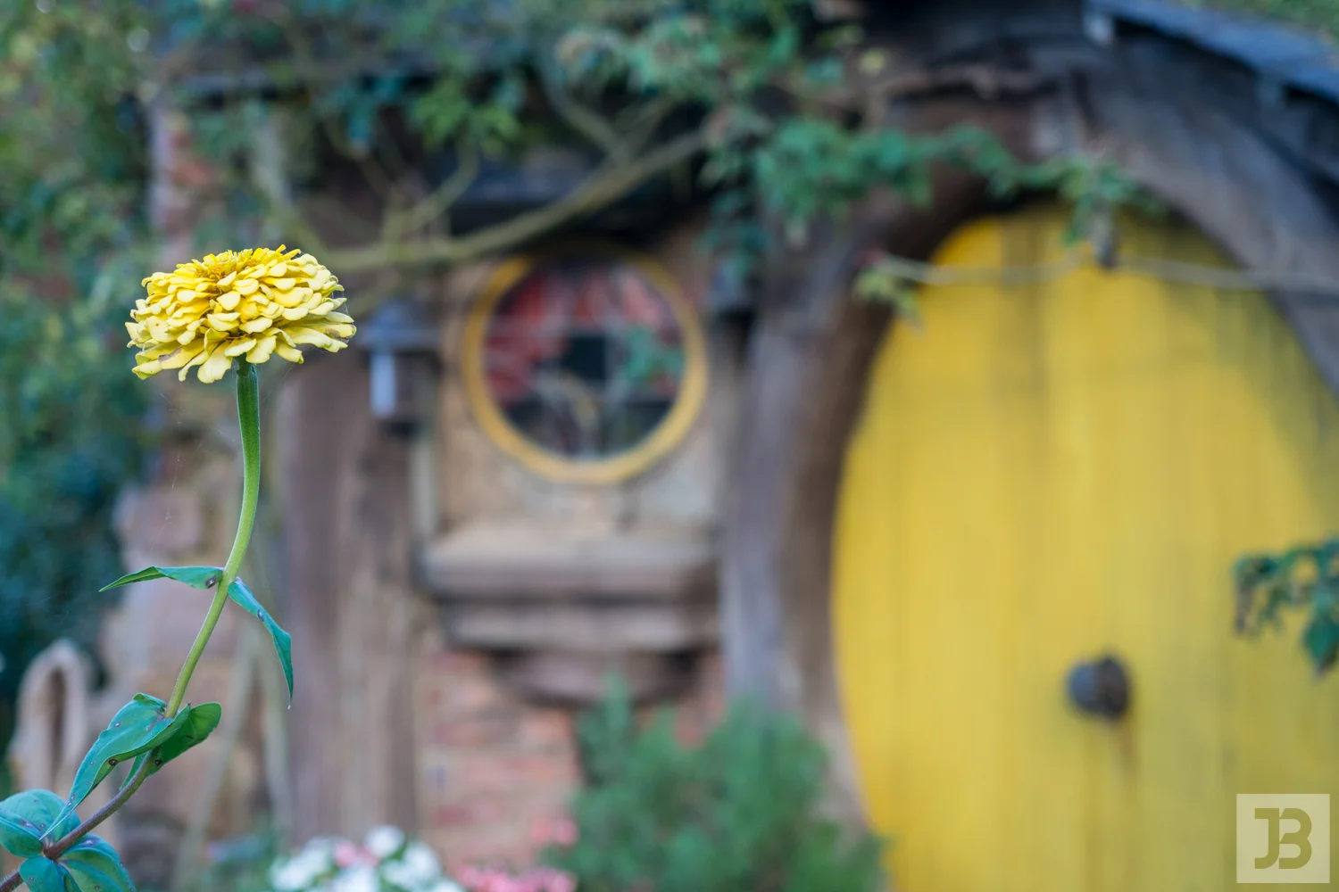 Tour of Hobbiton