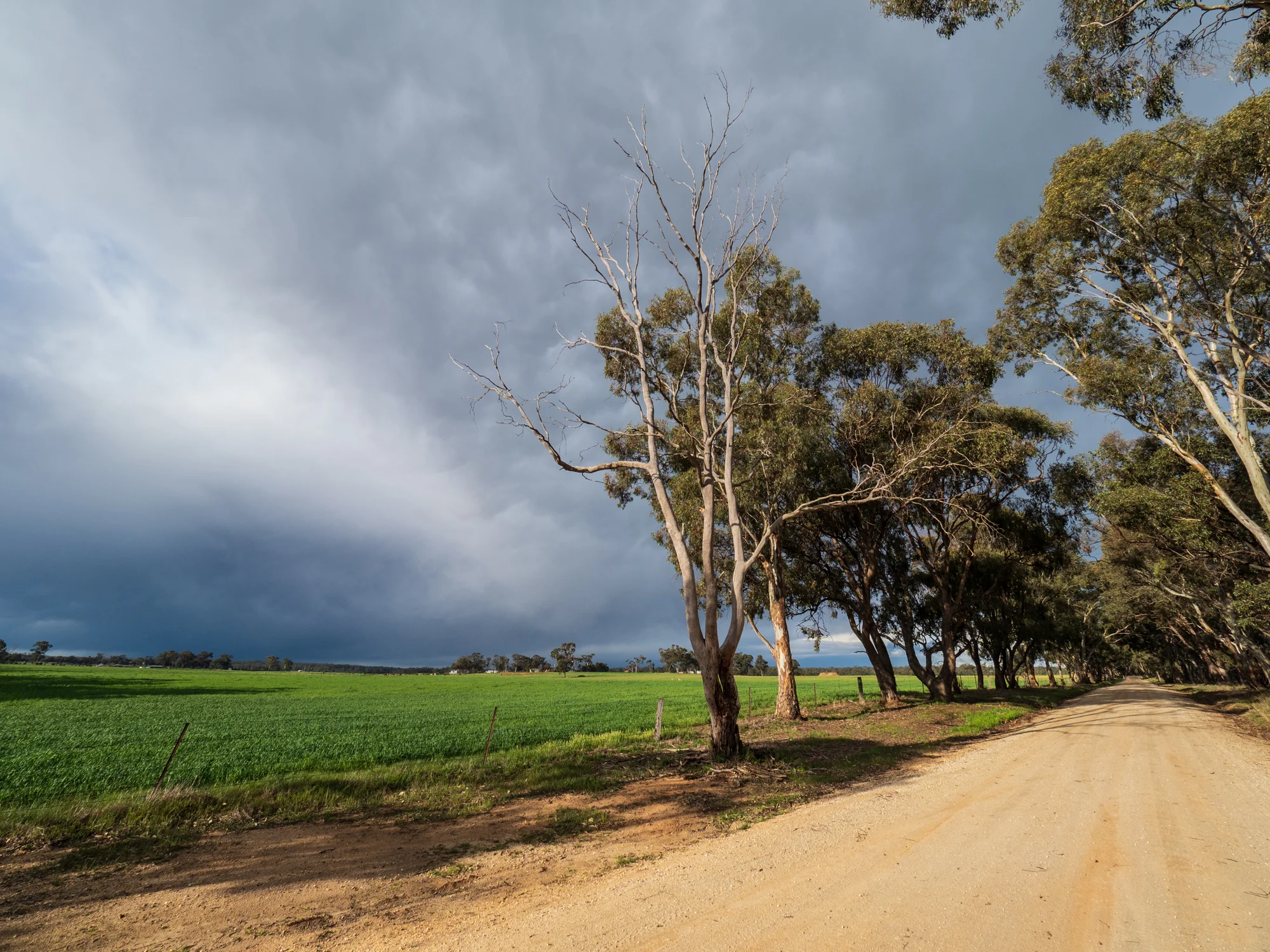 Crazy Weather