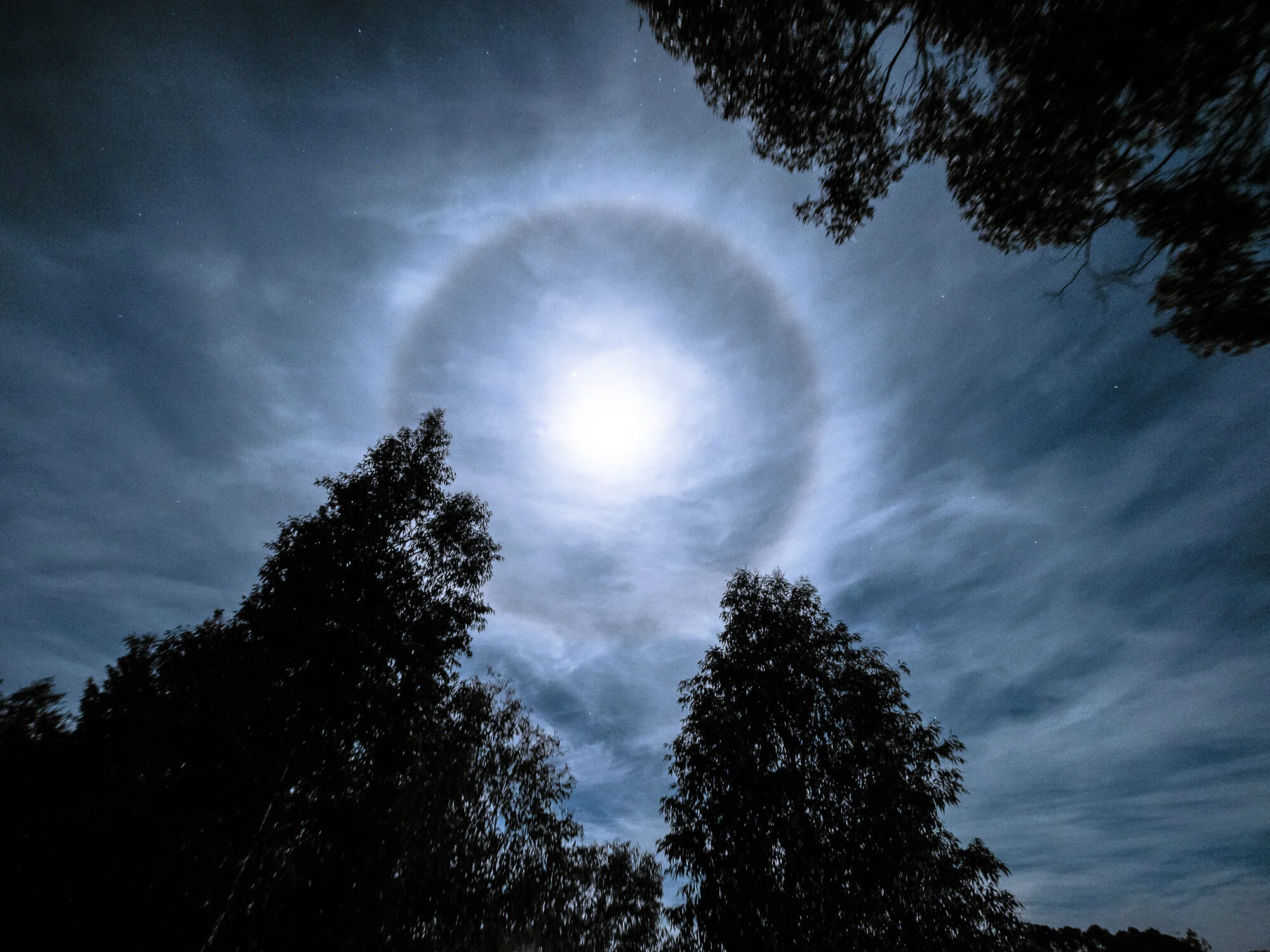 Winter Lunar Halo