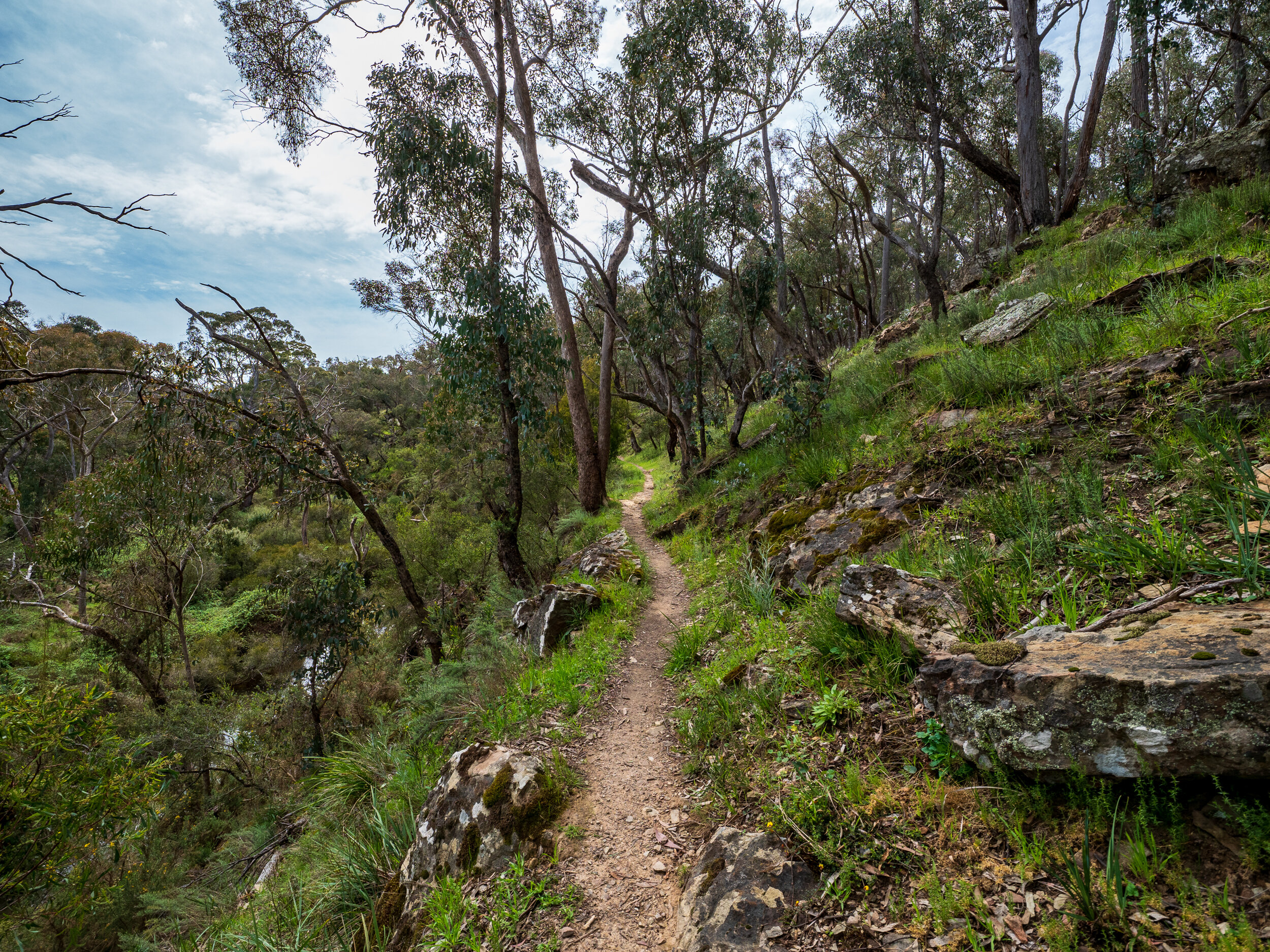 Goldfields Track - Daylesford to Hepburn