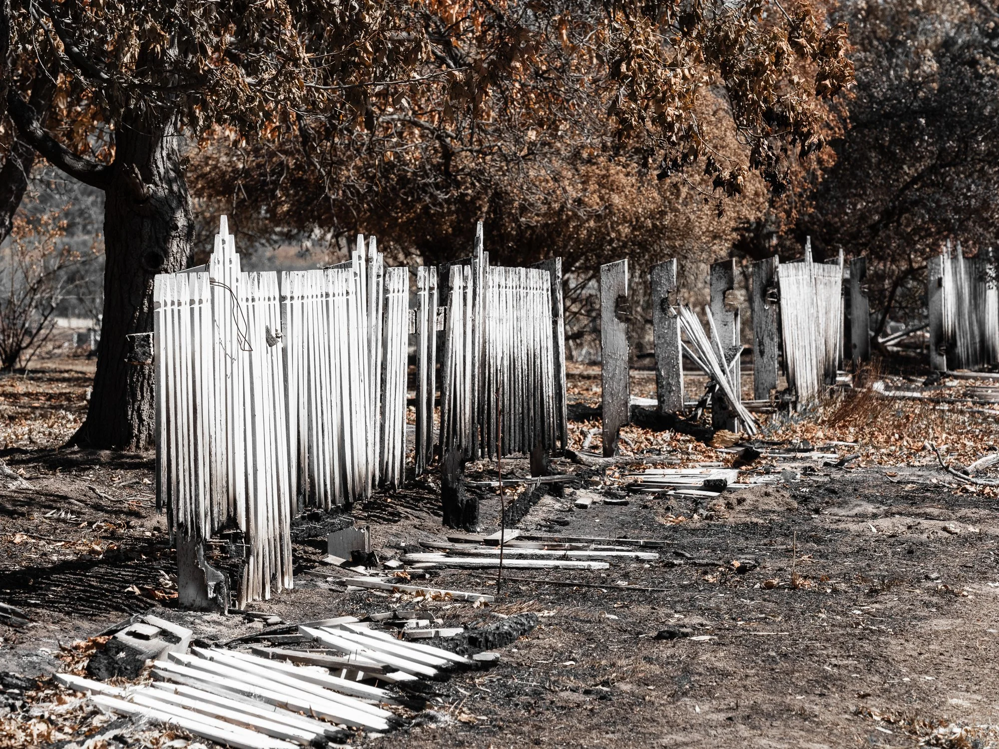 Mount Alexander Fire 2026