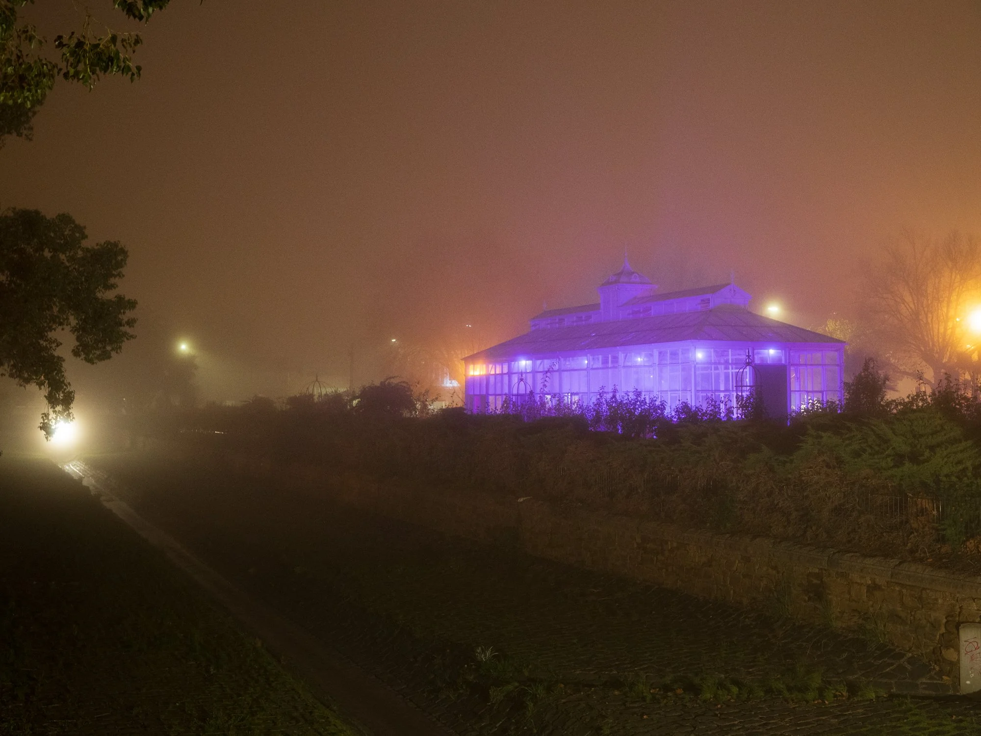Fog rolls into Bendigo June 23