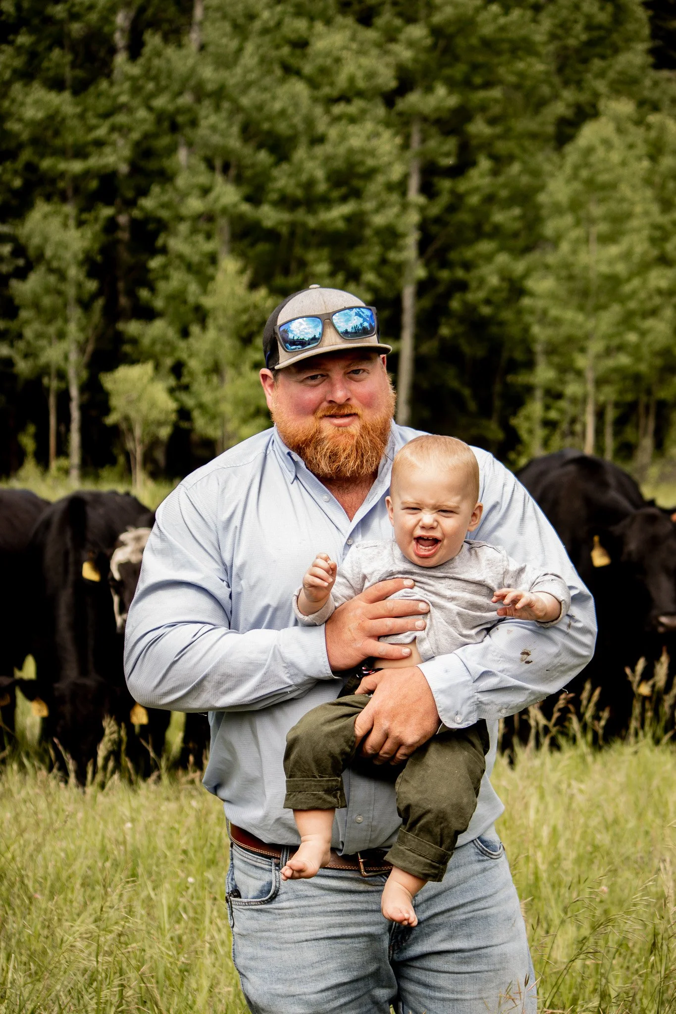 A man with a red beard holding a young child in a field with cows and trees in the background.
