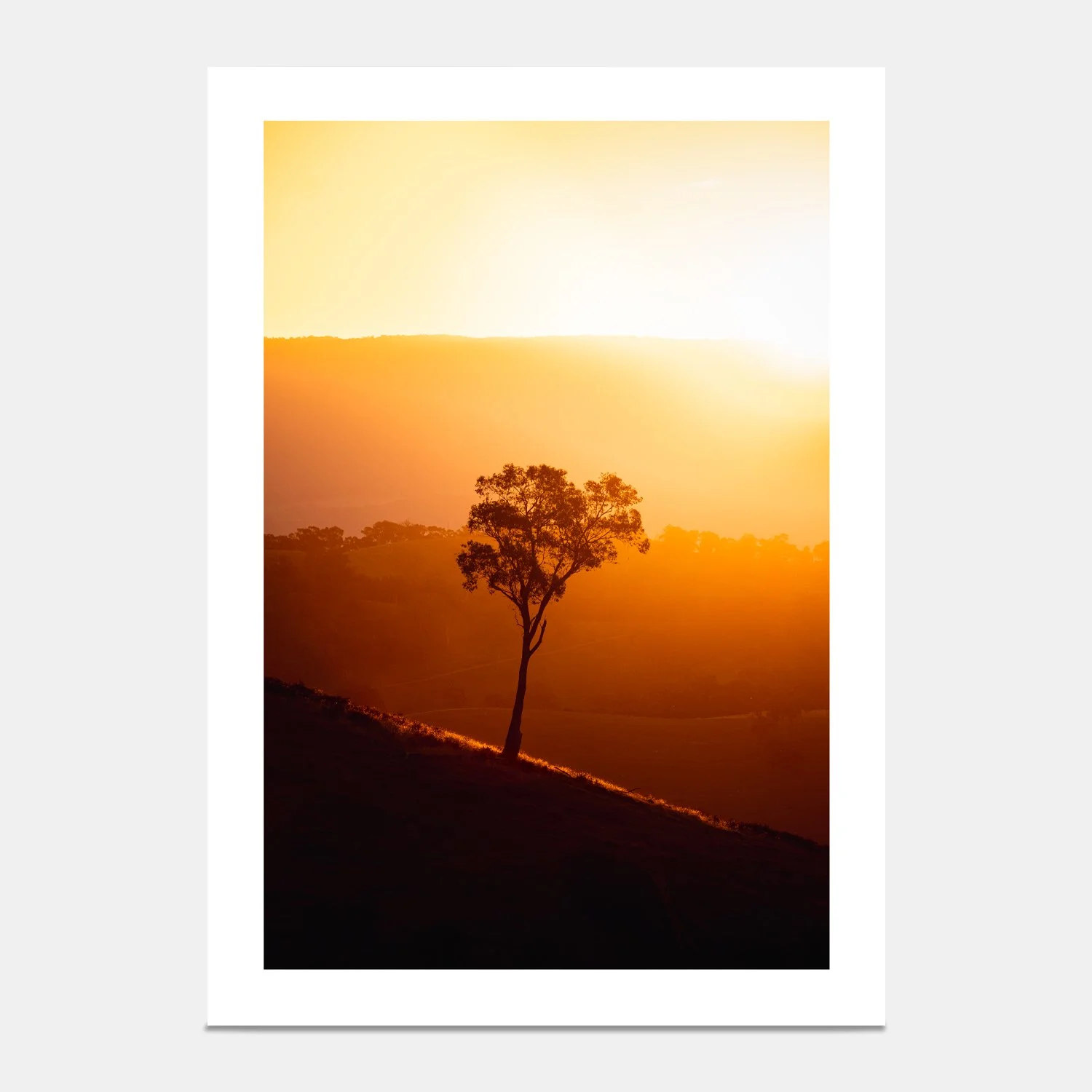 Lonelly-Tree-frame.jpg