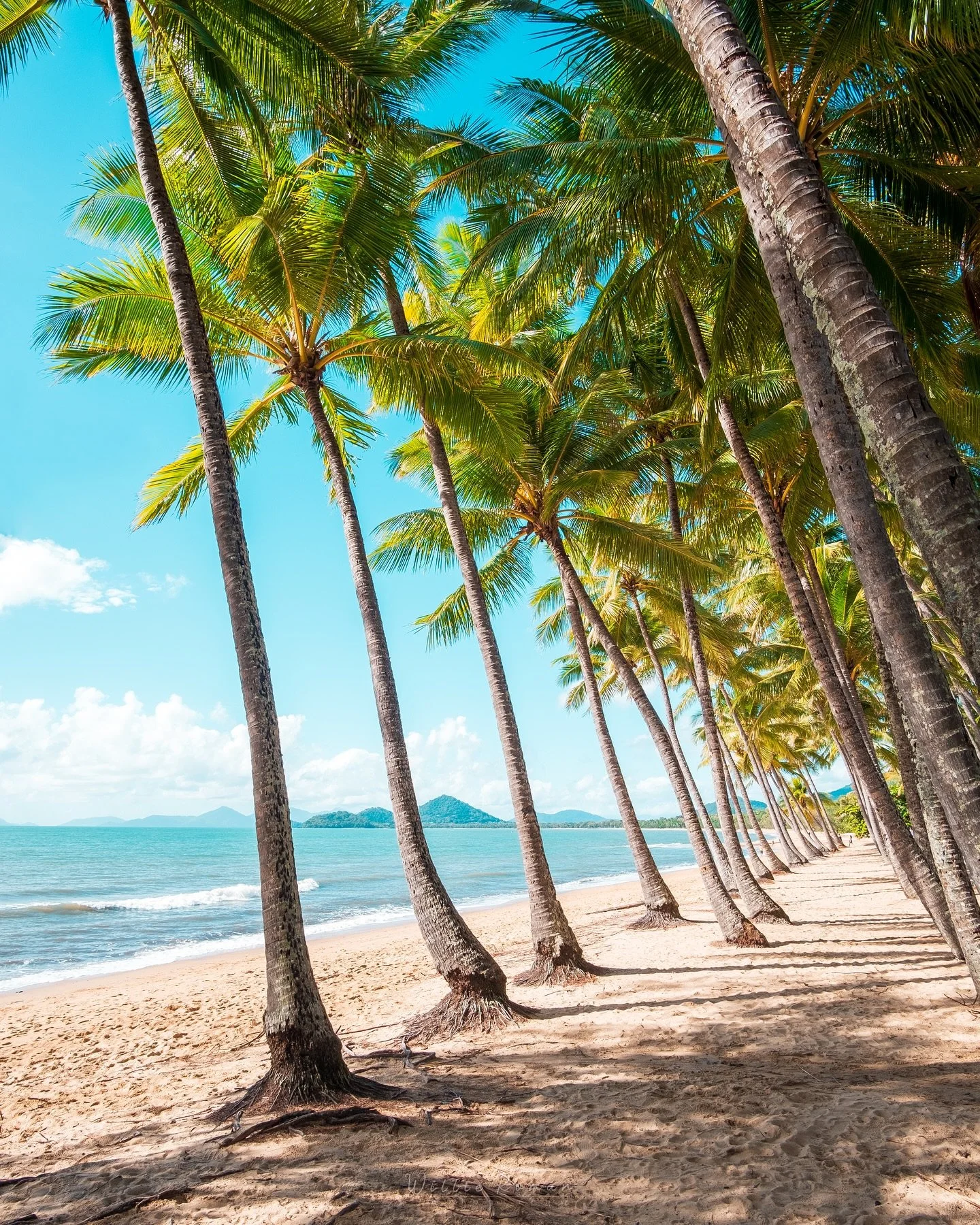 🏝️ Para&iacute;so tropical en el Norte de Queensland. 🌴 Un lugar que tengo que volver para terminarlo de visitar. 
&bull;
Tropical paradise in the North of Queensland. 🌴A place I have to go back to finish visiting it.
&bull;
📸 Fujifilm X-T3 + 35m