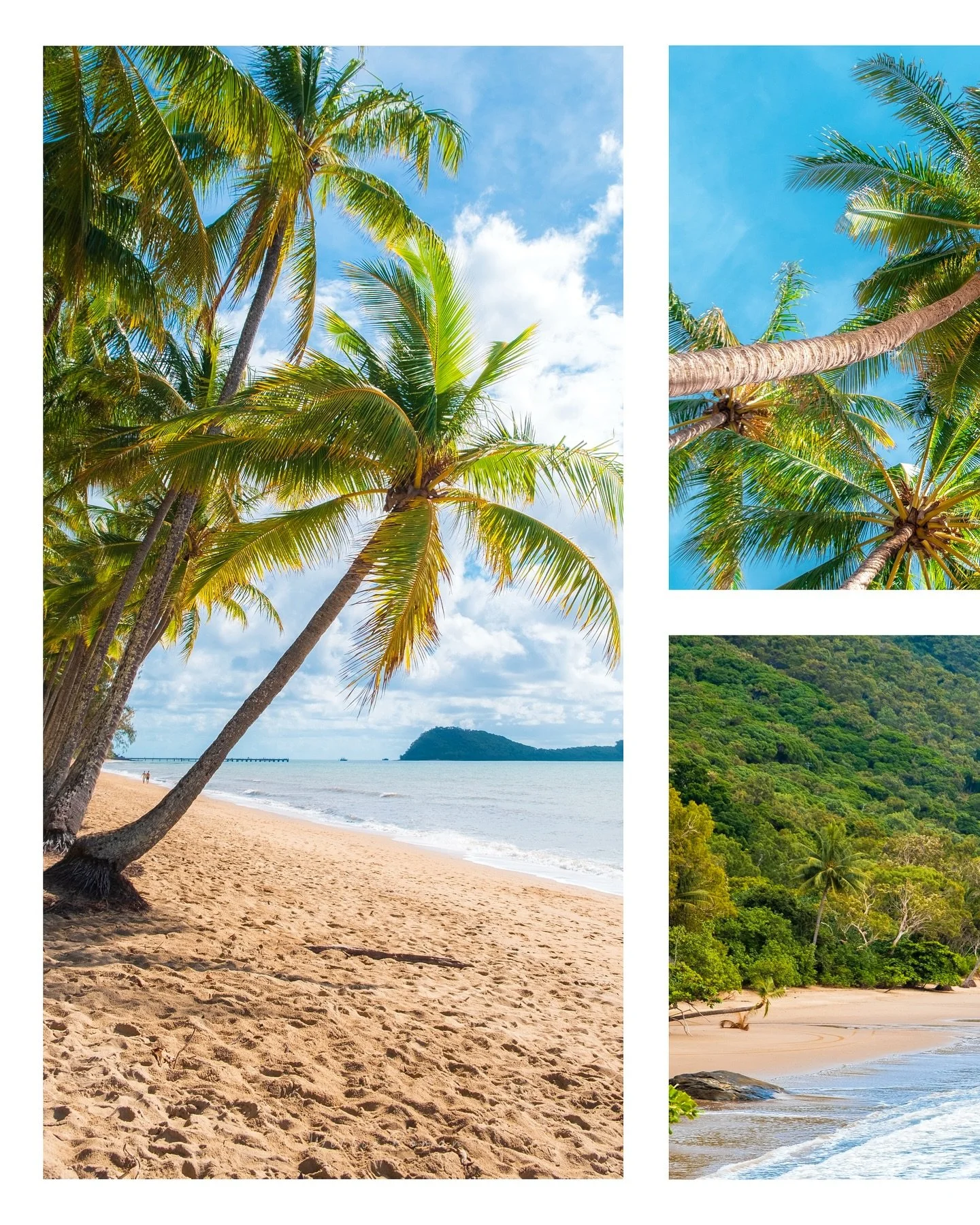 North Queensland vibes 🌴🏝️
&bull;
#queensland #farnorthqueensland #palmcove #tropicalnorthqueensland #tropical #catalanspelmon #catalunya_viatgers #fujifilmx_au #esfujifilmx #fujistas #landscapephotographer #photodecor #greenblooded #wotif