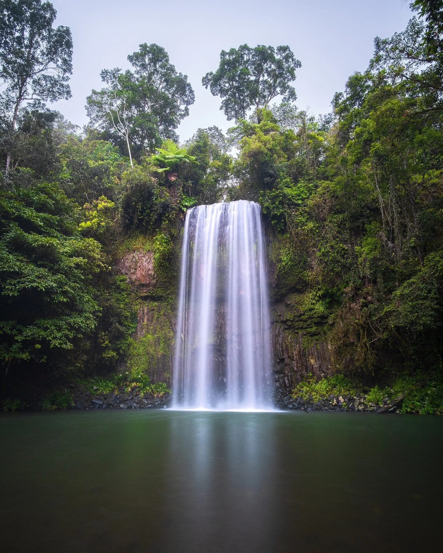El d&iacute;a perfecto, Cascadas y fogata por la noche 🔥 Estas cascadas son las Millaa Millaa, ubicadas en Queensland 📍a 100km de Cairns, la ciudad donde estuvimos viviendo hace unos meses.
&bull;

The perfect day: Waterfall and bonfire at night 🔥